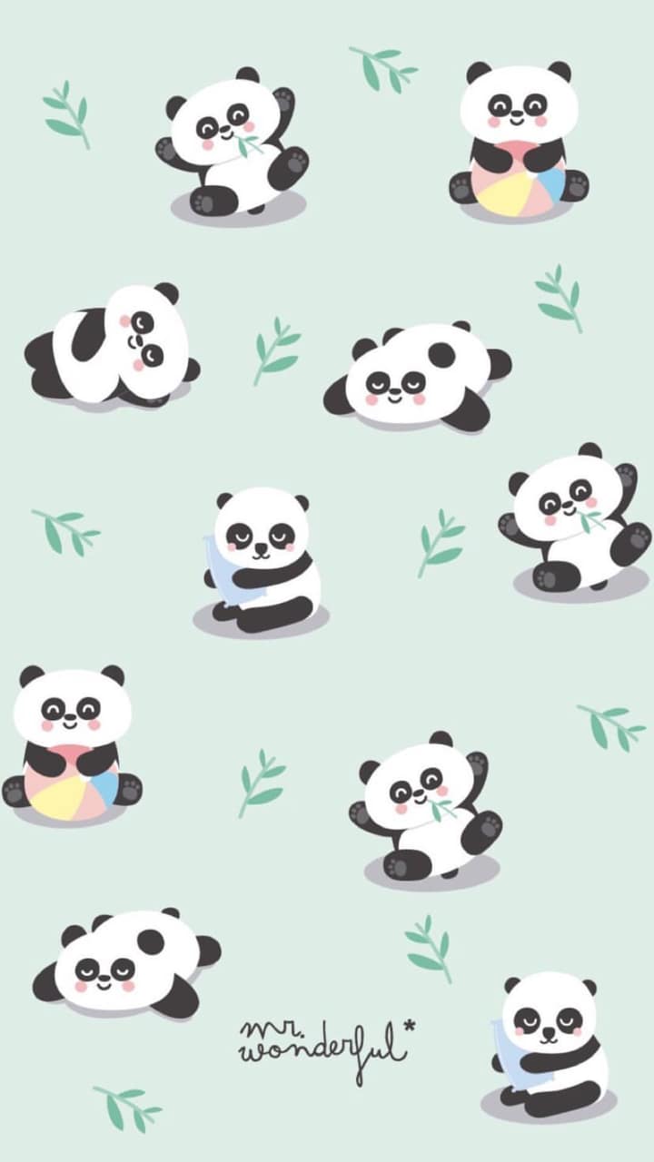 Panda, fondo de pantalla e imagen de Tumblr - Fondos De Pantalla Mr Wonderful