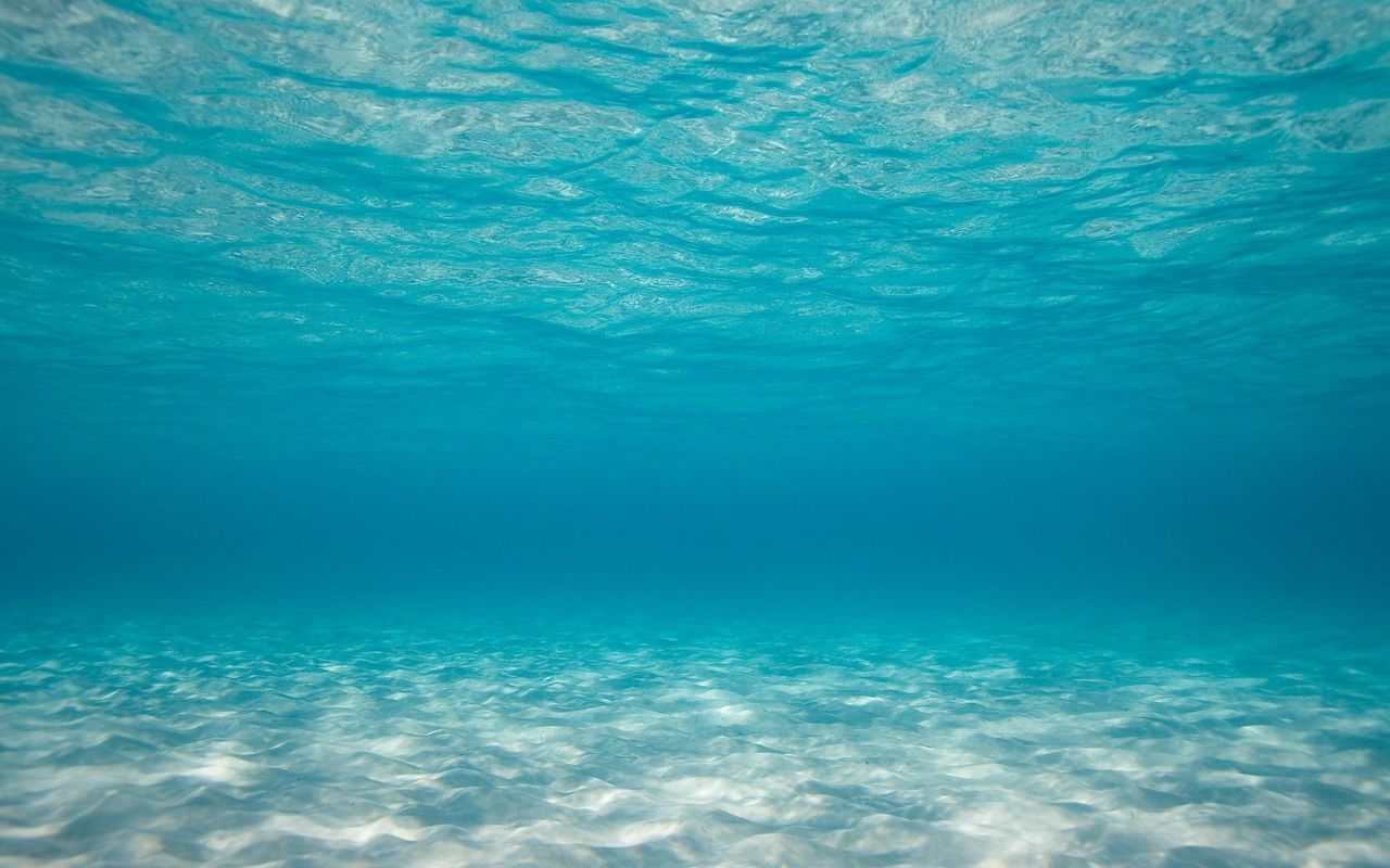 Se quedó sin oxígeno en el fondo del oceáno y ocurrió algo que nadie  esperaba
