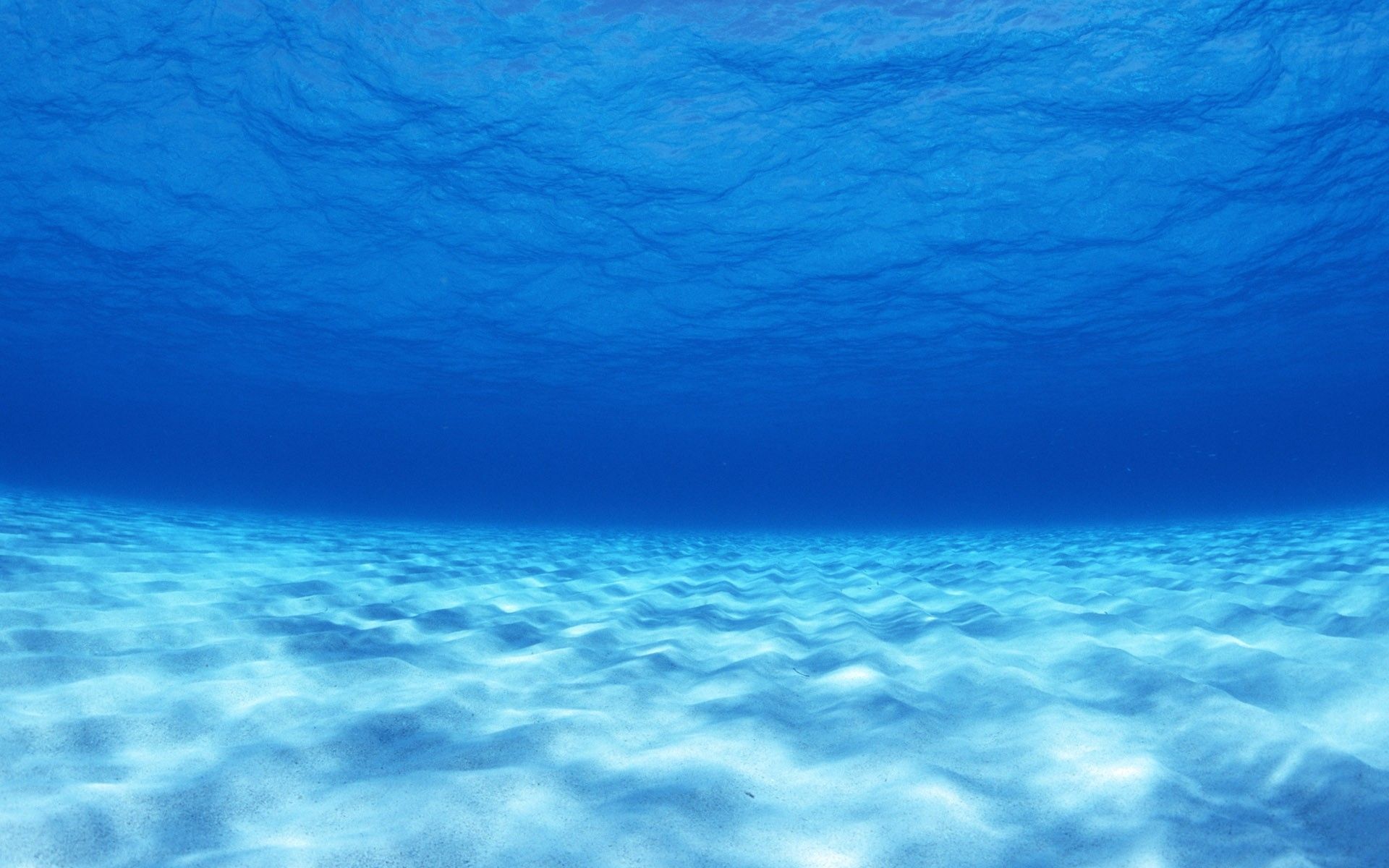 Fondos de pantalla: bajo el agua, azul, ligero, inferior 1920x1200 - wallup
