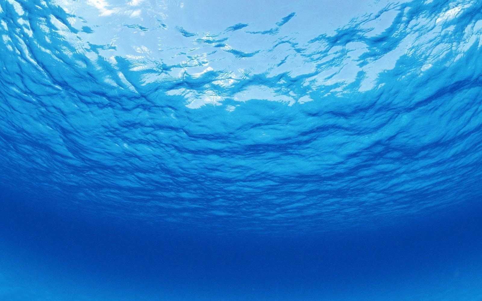 Bajo el fondo del océano | fondo de pantalla, fondo de pantalla hd, fondo de escritorio