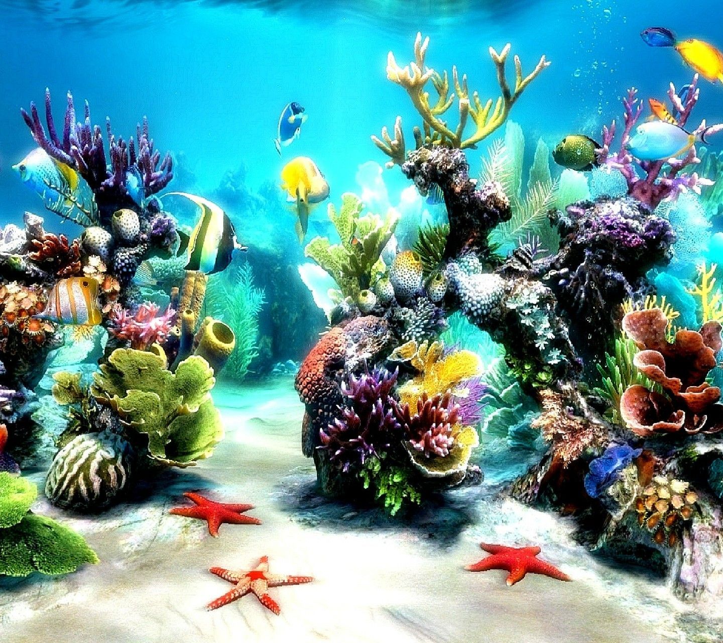 Coral en el fondo del mar | Vida marina bajo el agua | Acuario en vivo