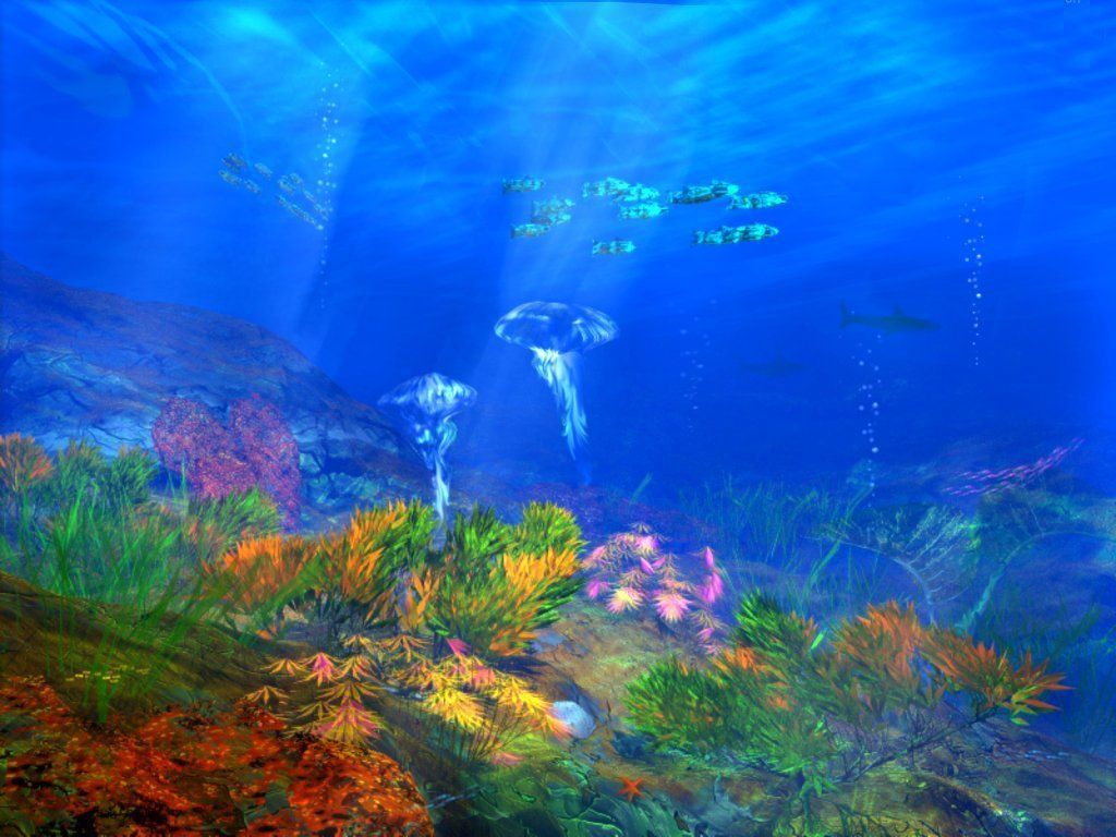 Descargar The Free under sea Wallpaper | tortuga | Imágenes del mar, océano