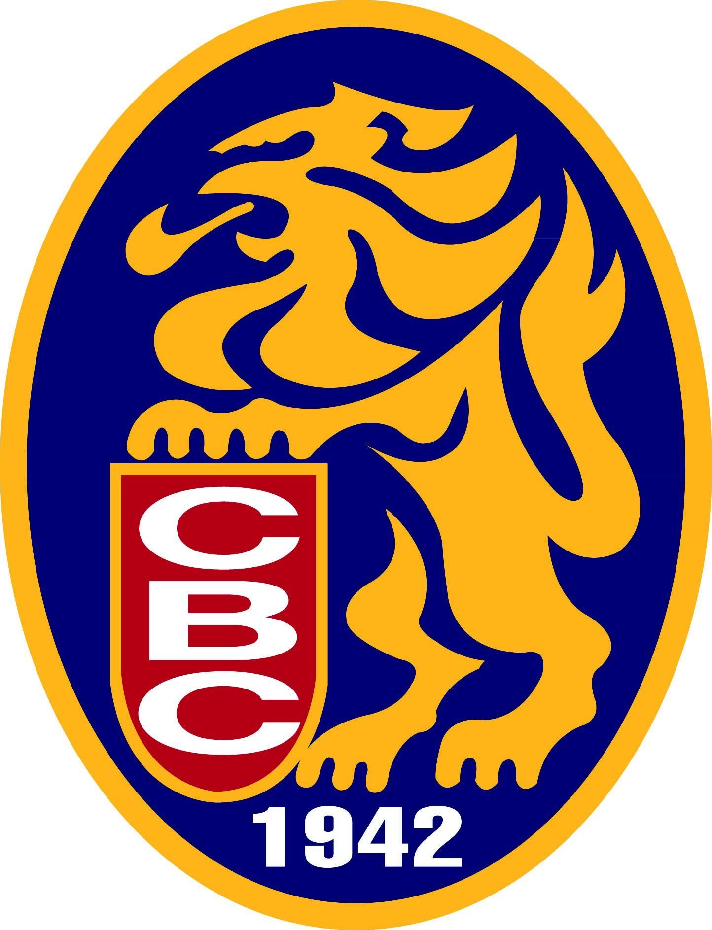 Leones del Caracas - Para Sublimar | equipo de beisbol leones del