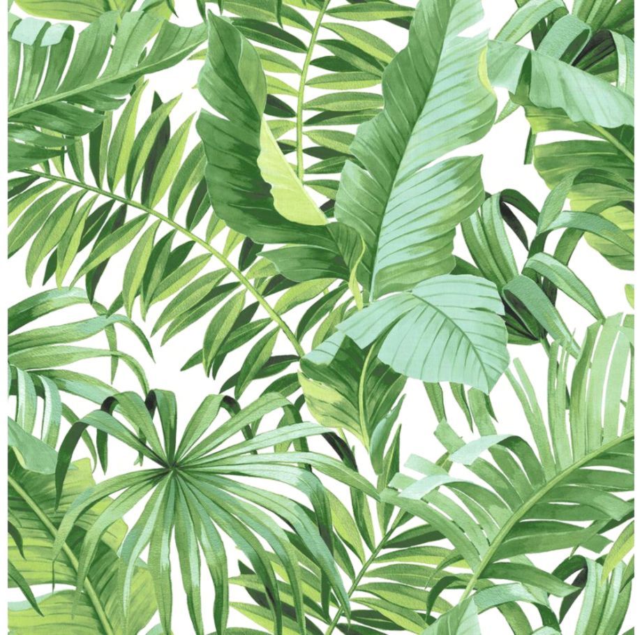 Palm Tree Wallpaper | Fondos Tumblr