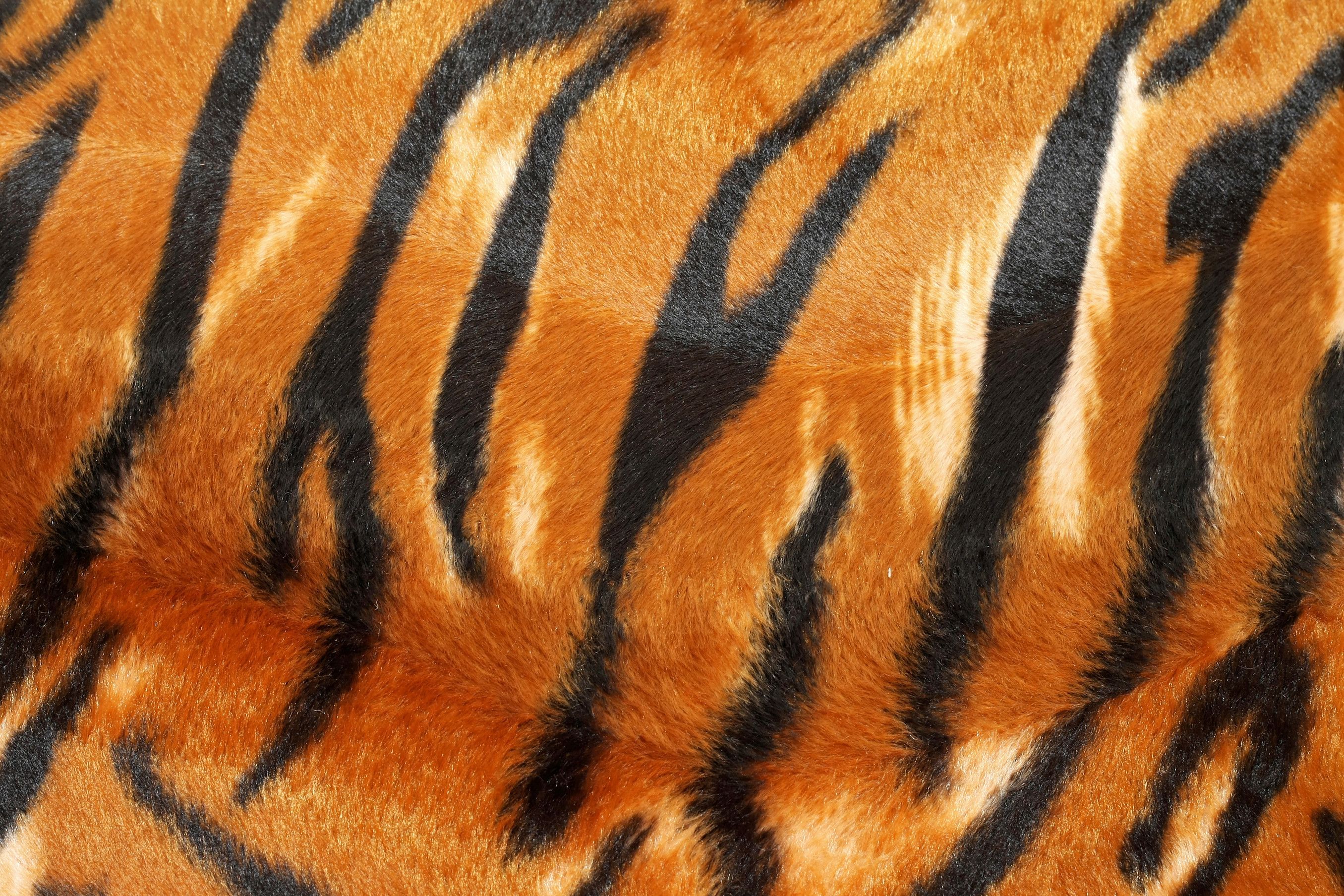 bonito patrón de tigre en HD | inspo de arte en 2019 | Huella animal