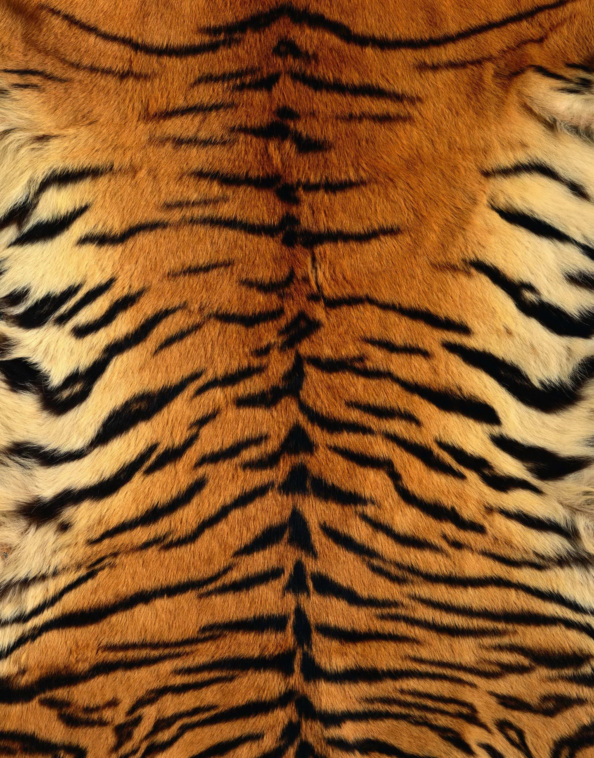 Animal [2007 × 2560 píxeles] | ANIMALES en 2019 | Estampado de tigre, piel de tigre