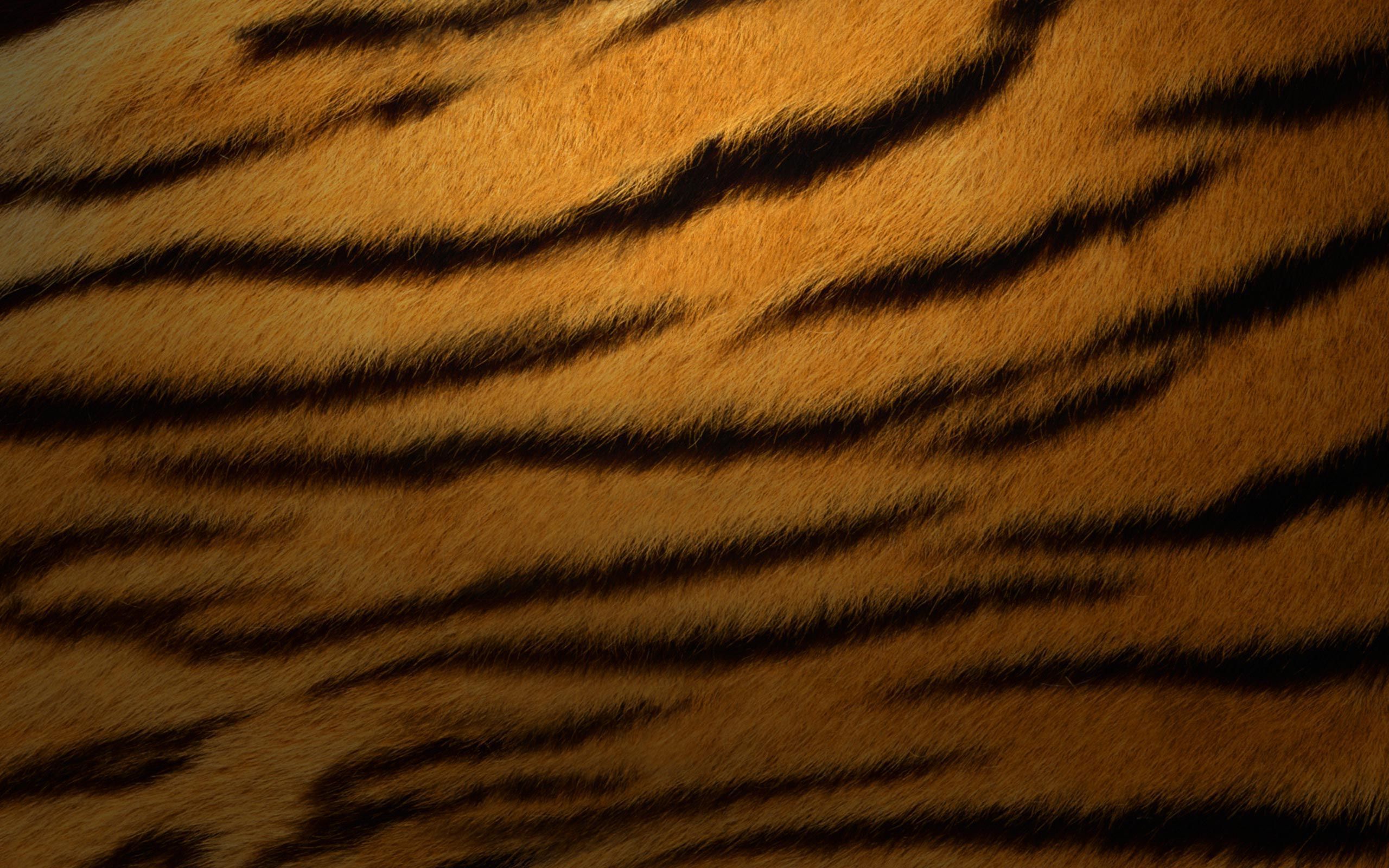 32+] Fondo de pantalla de piel de tigre