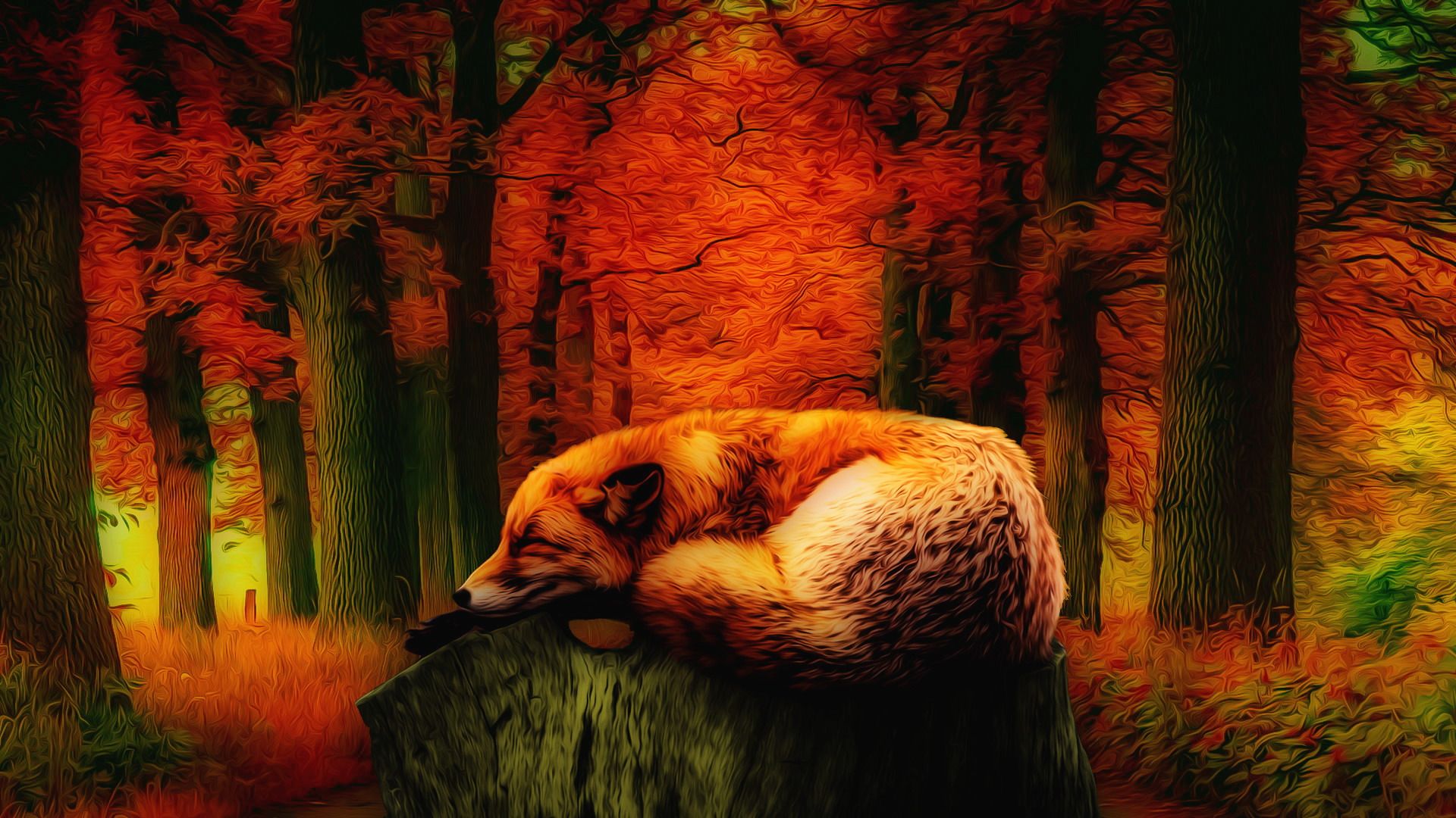 Fondo de pantalla de Fox en reposo - Ilustraciones - Ubuntu MATE Community