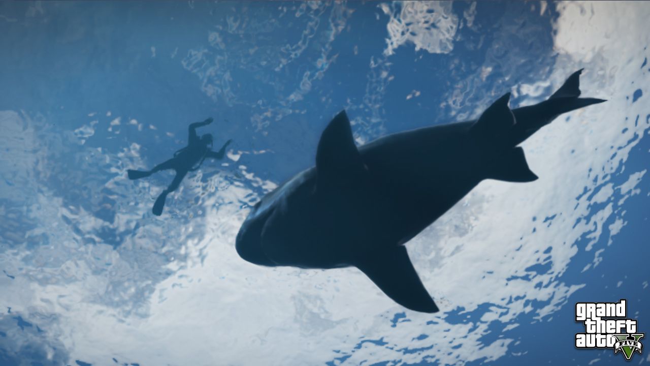 GTA 5 Screens Sharks ~ PS3 Games Wallpapers Res: 1280x720 ~ Video HD