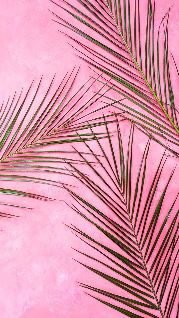 Pink Palm Tree Iphone X Wallpaper - Iphone Wallpaper Pink (# 72933
