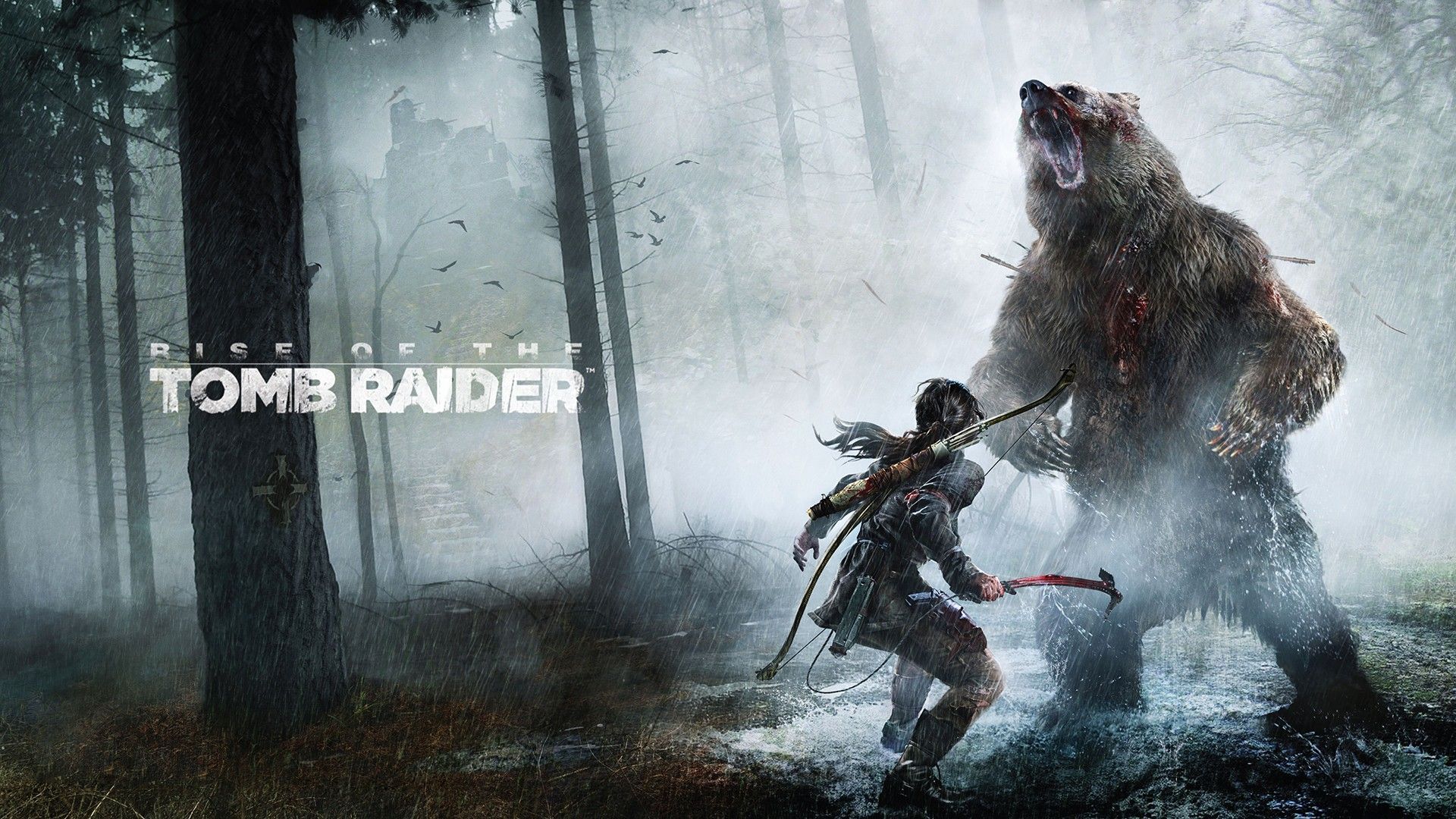 Fondo de pantalla de Tomb Raider Bear, Fondos de juegos, Fondos de Igames