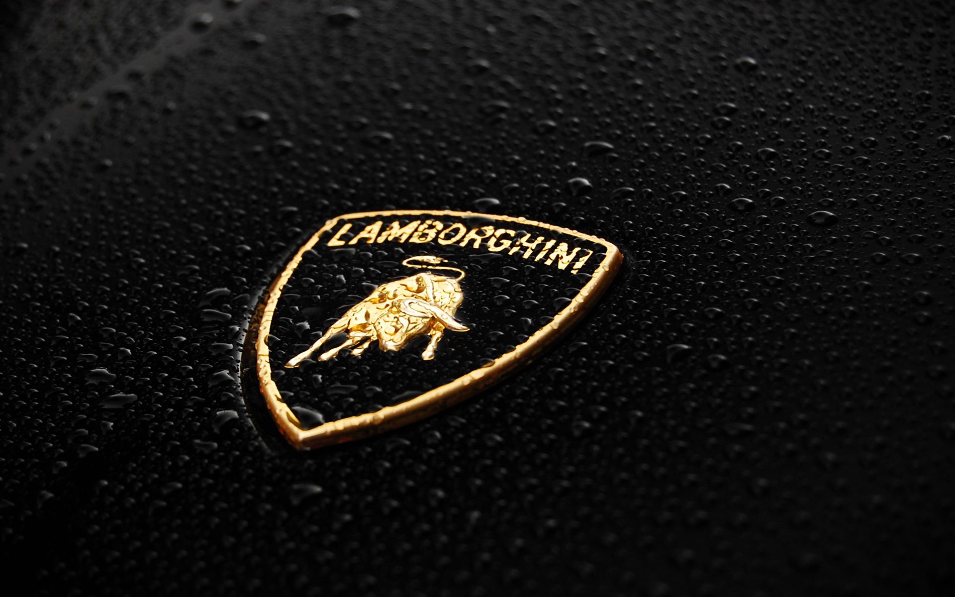 Imágenes de Lamborghini Aventador en fondos de pantalla HD Descargar Lamborghini