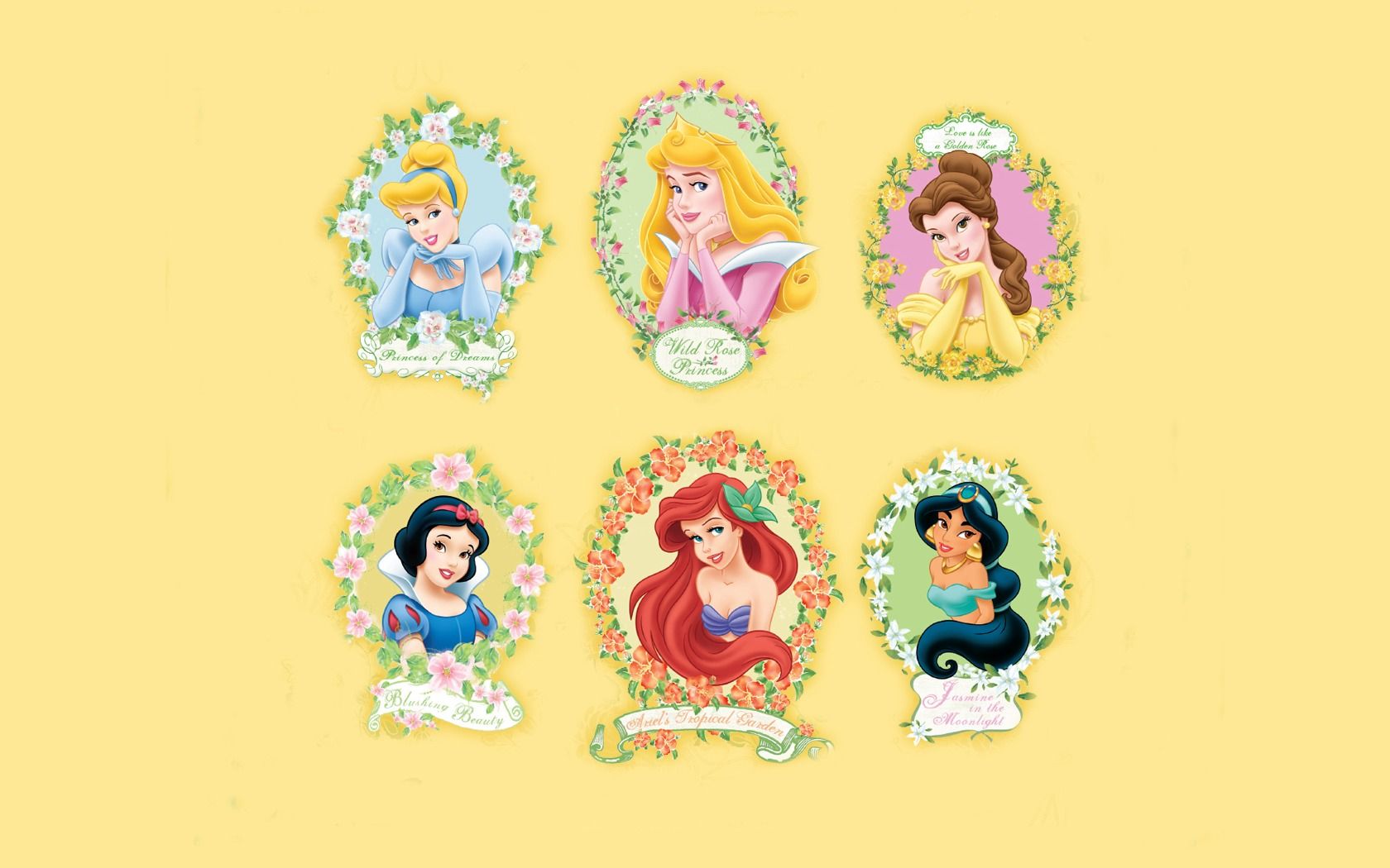 Fondo de pantalla de princesa Disney 1680x1050