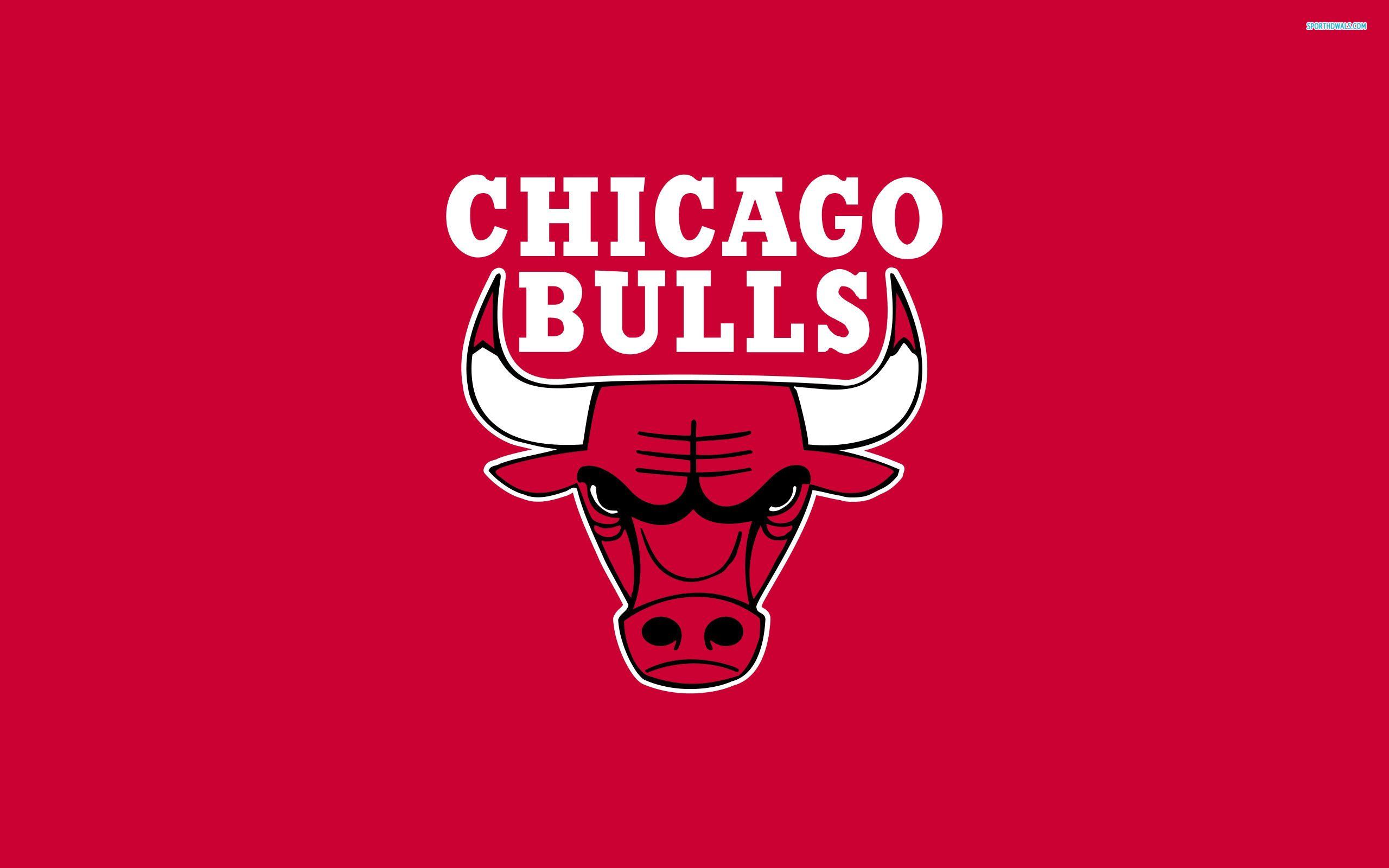 Fondo de pantalla de los Chicago Bulls 2560x1600