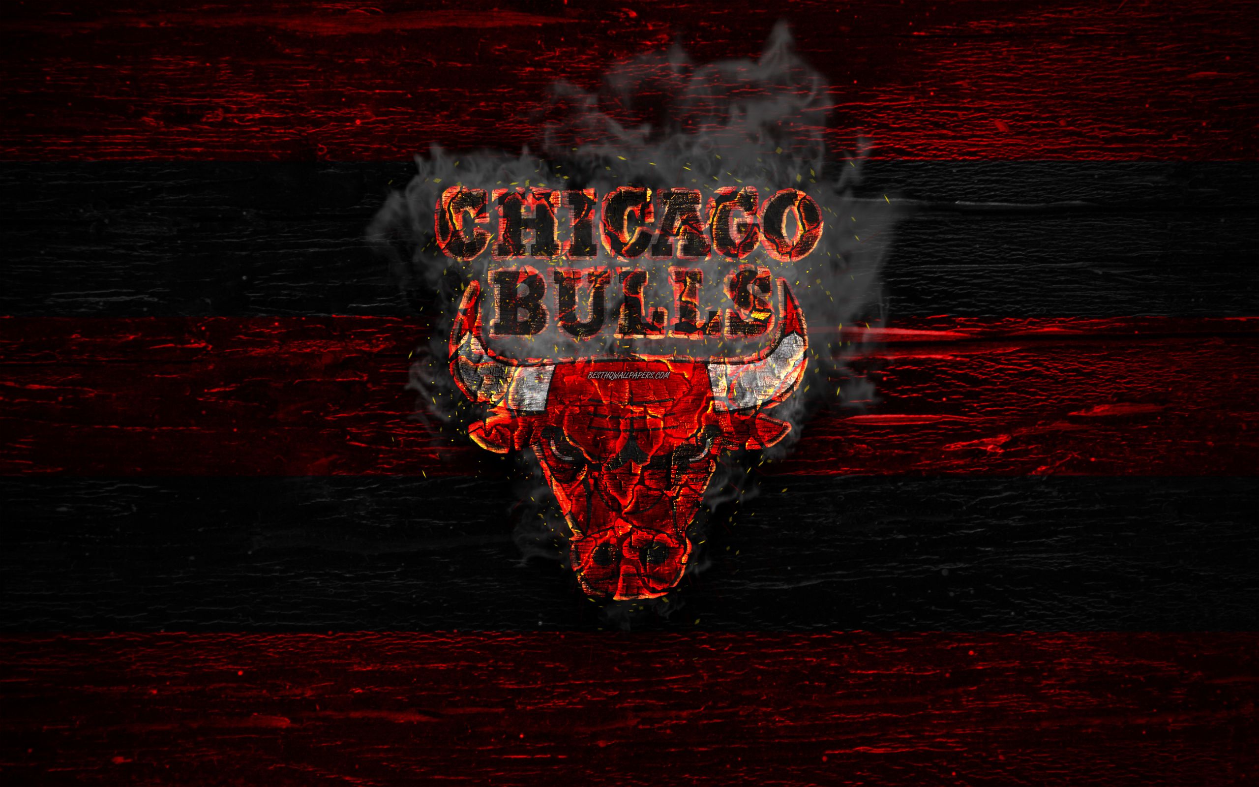 Fondo de pantalla de los Chicago Bulls 2560x1600
