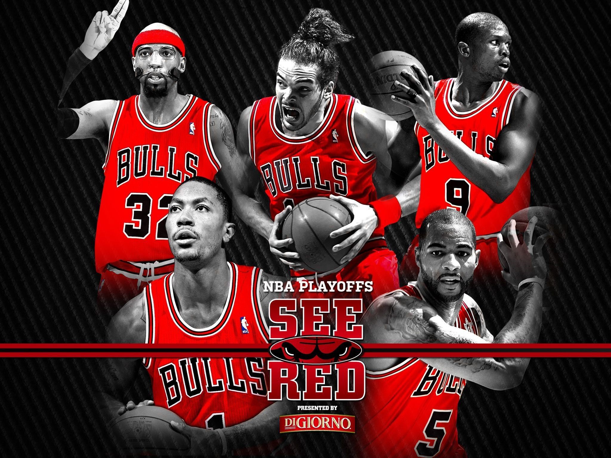 Fondo de pantalla de los Chicago Bulls 2048x1536