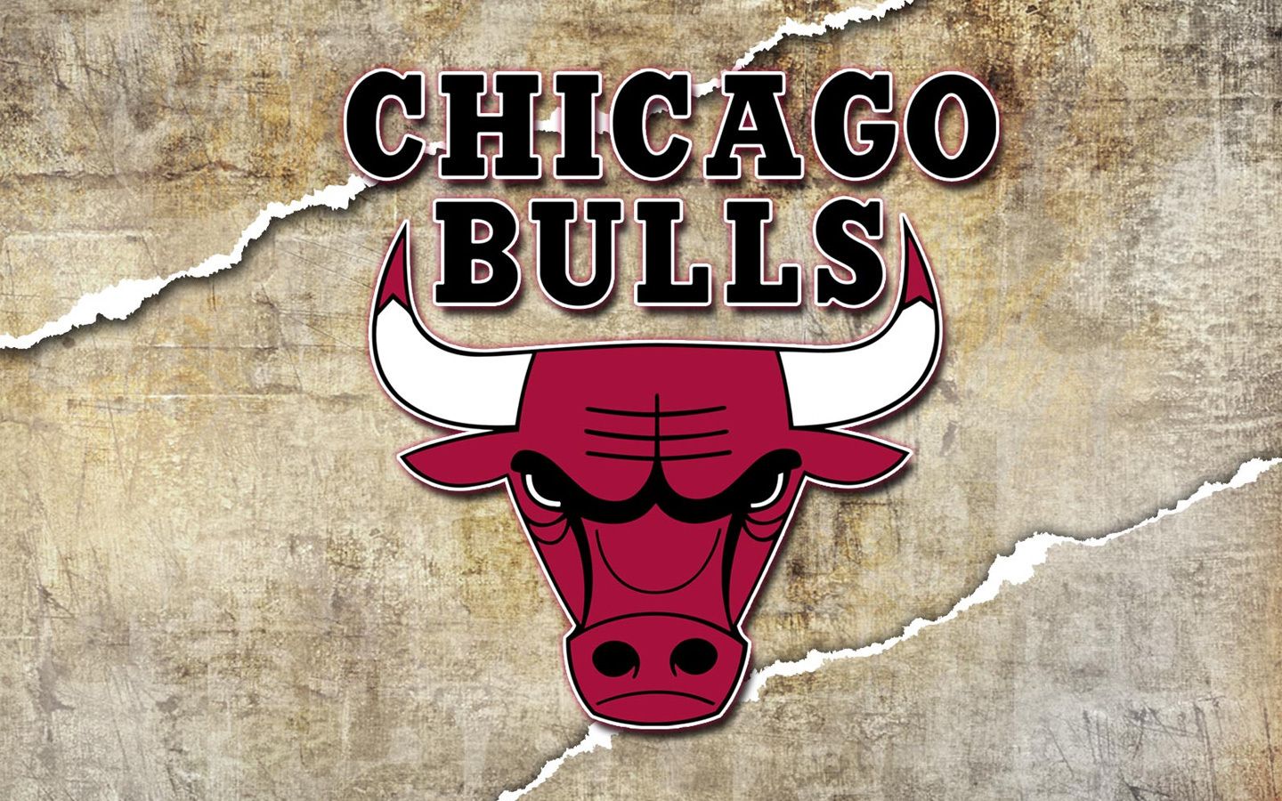Fondo de pantalla de los Chicago Bulls 1440x900