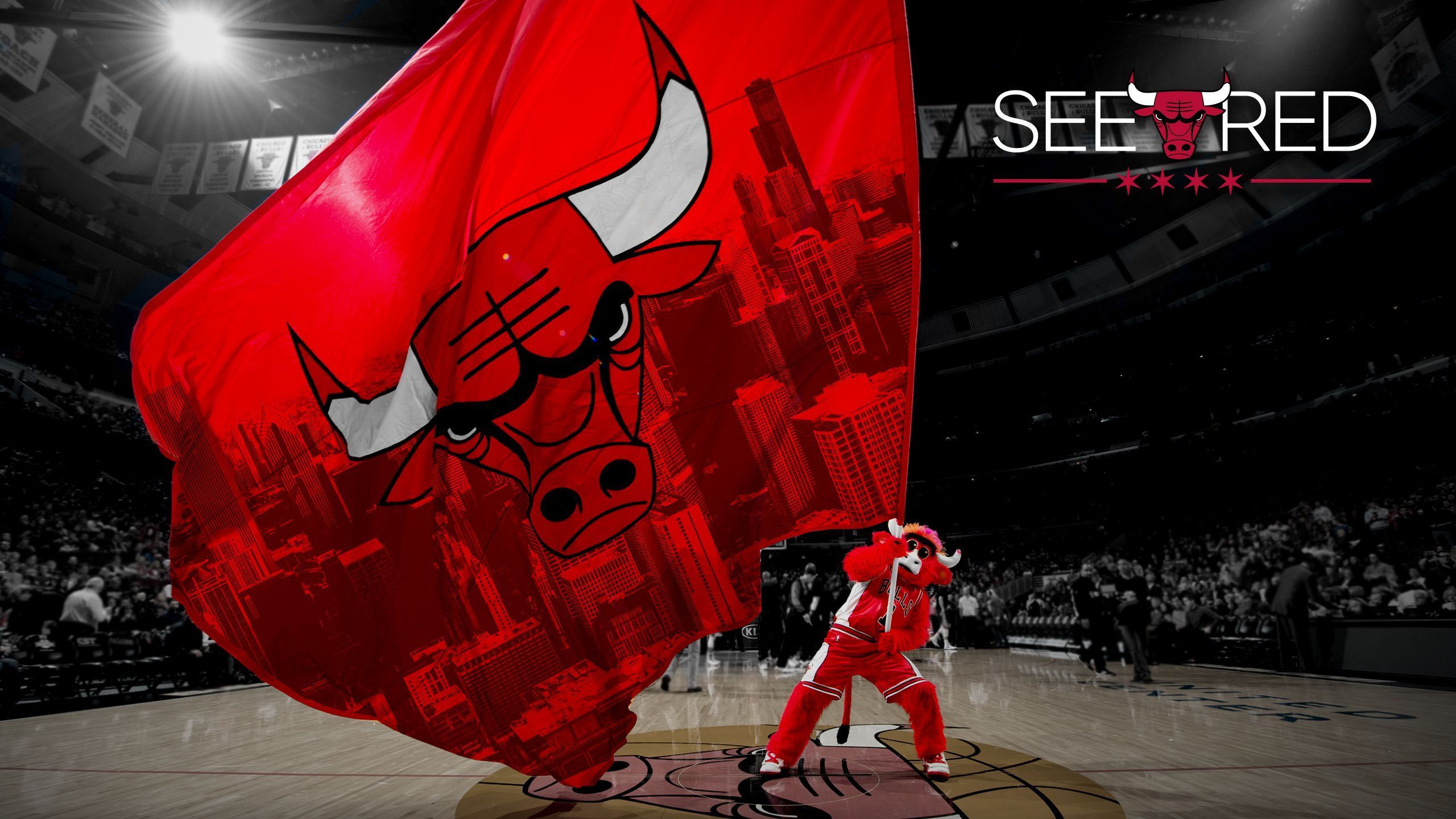 Fondo de pantalla de los Chicago Bulls 2560x1440