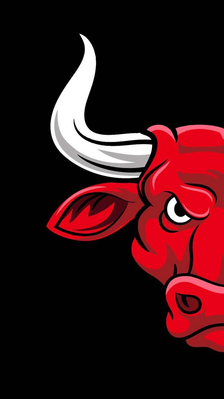 Fondo de pantalla de los Chicago Bulls 720x1280