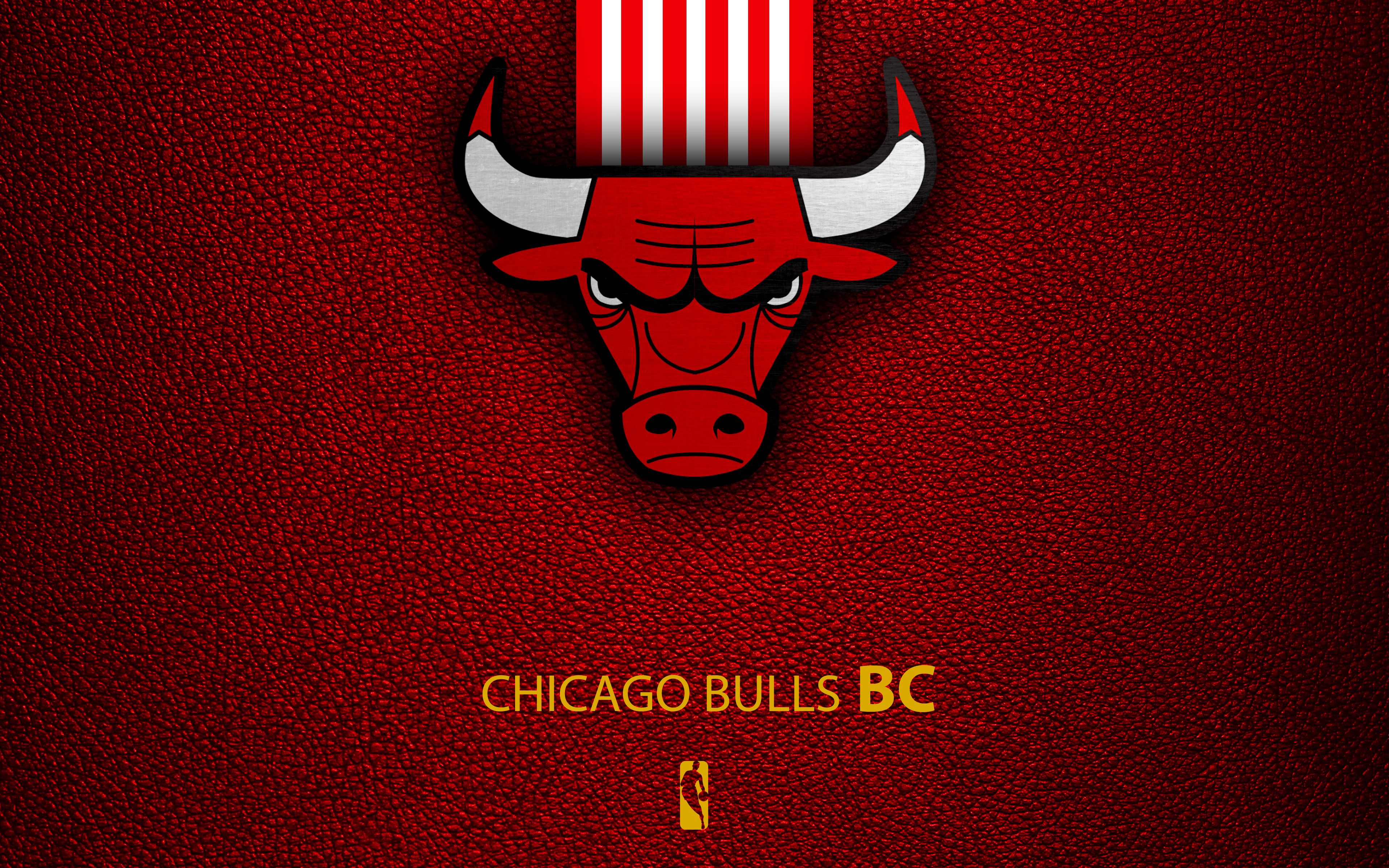 Fondo de pantalla de los Chicago Bulls 3840x2400
