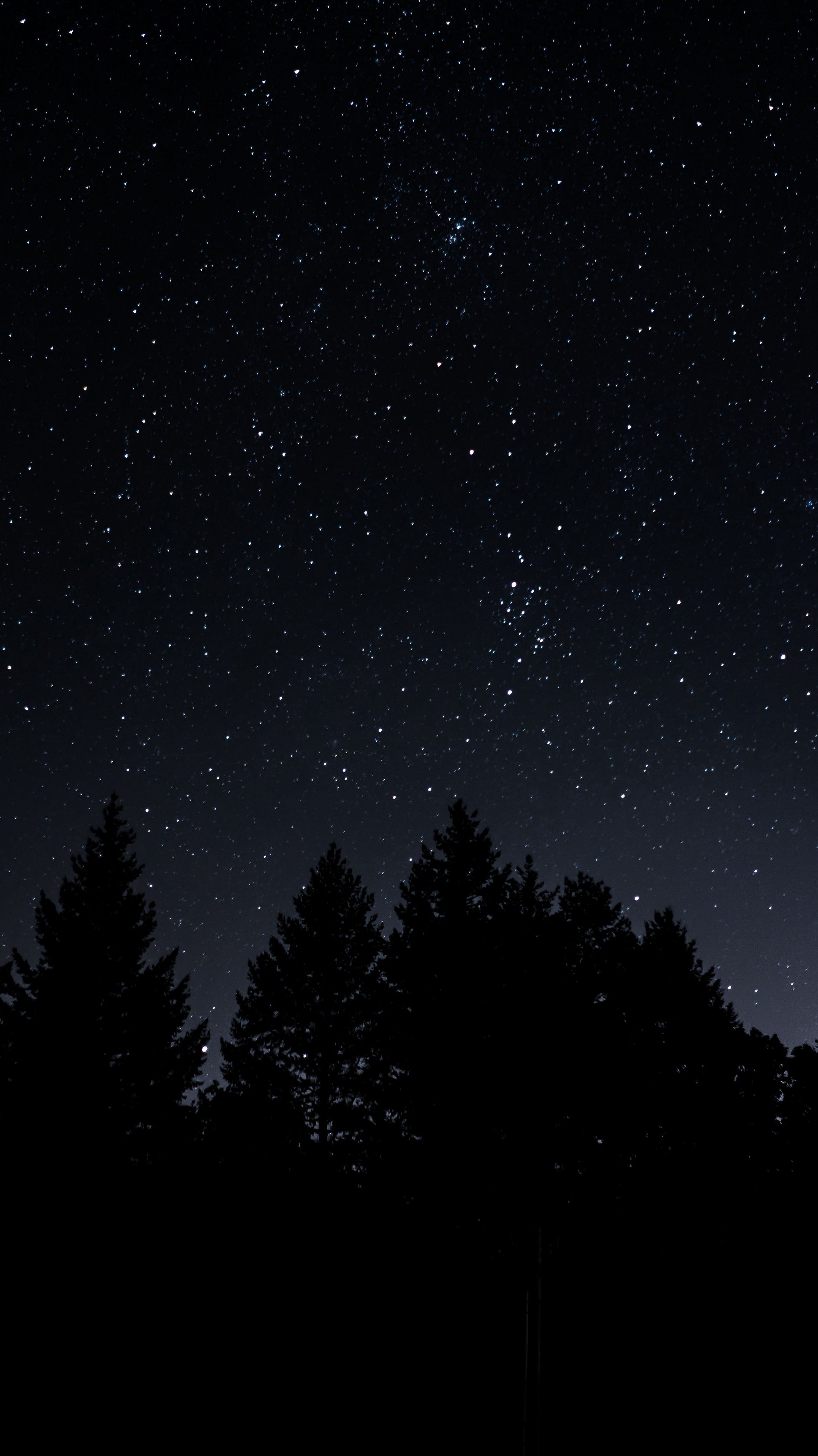 Sky #starrysky #trees #night #wallpapers hd 4k background for