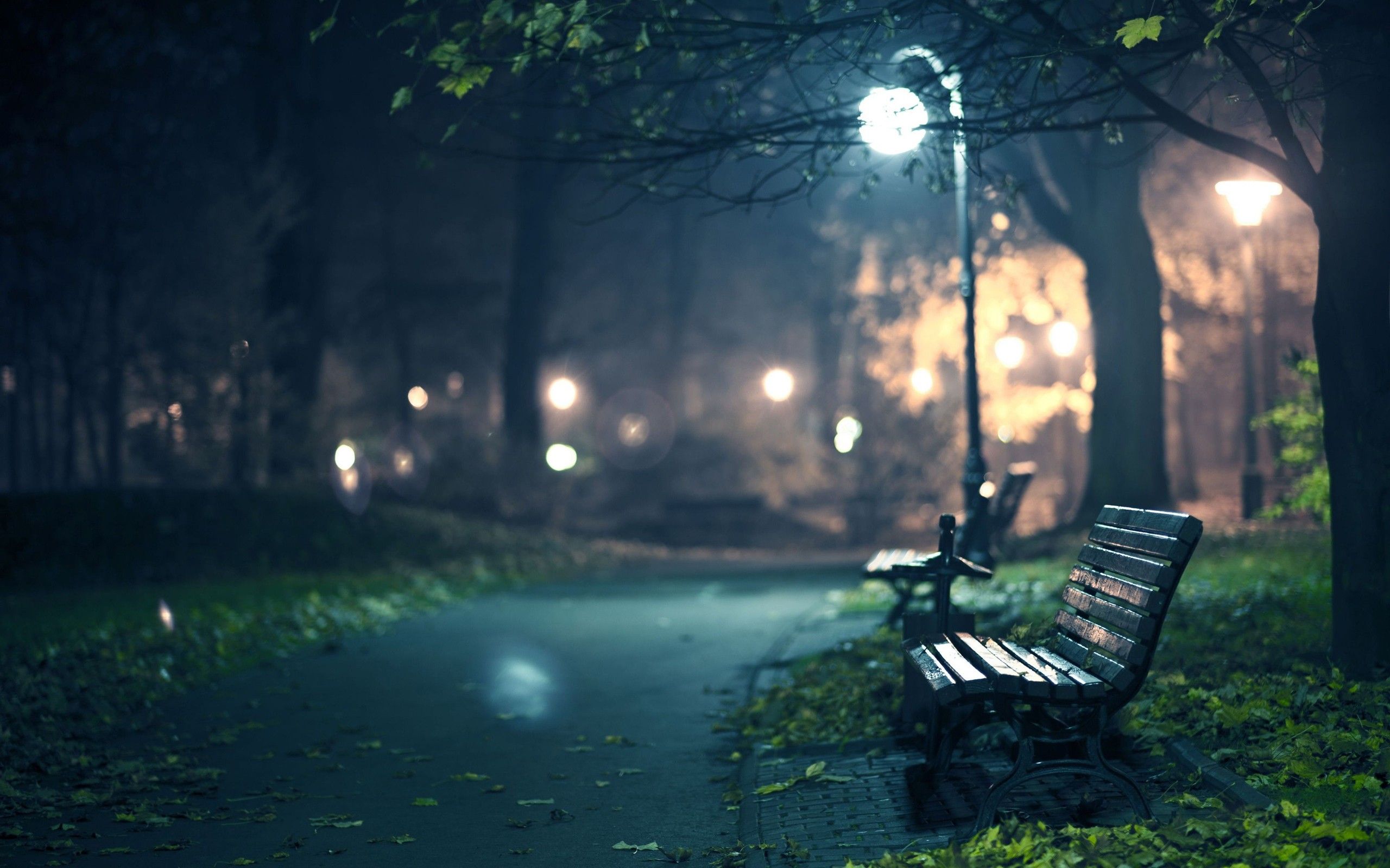 Park Bench At Night Fondo De Escritorio