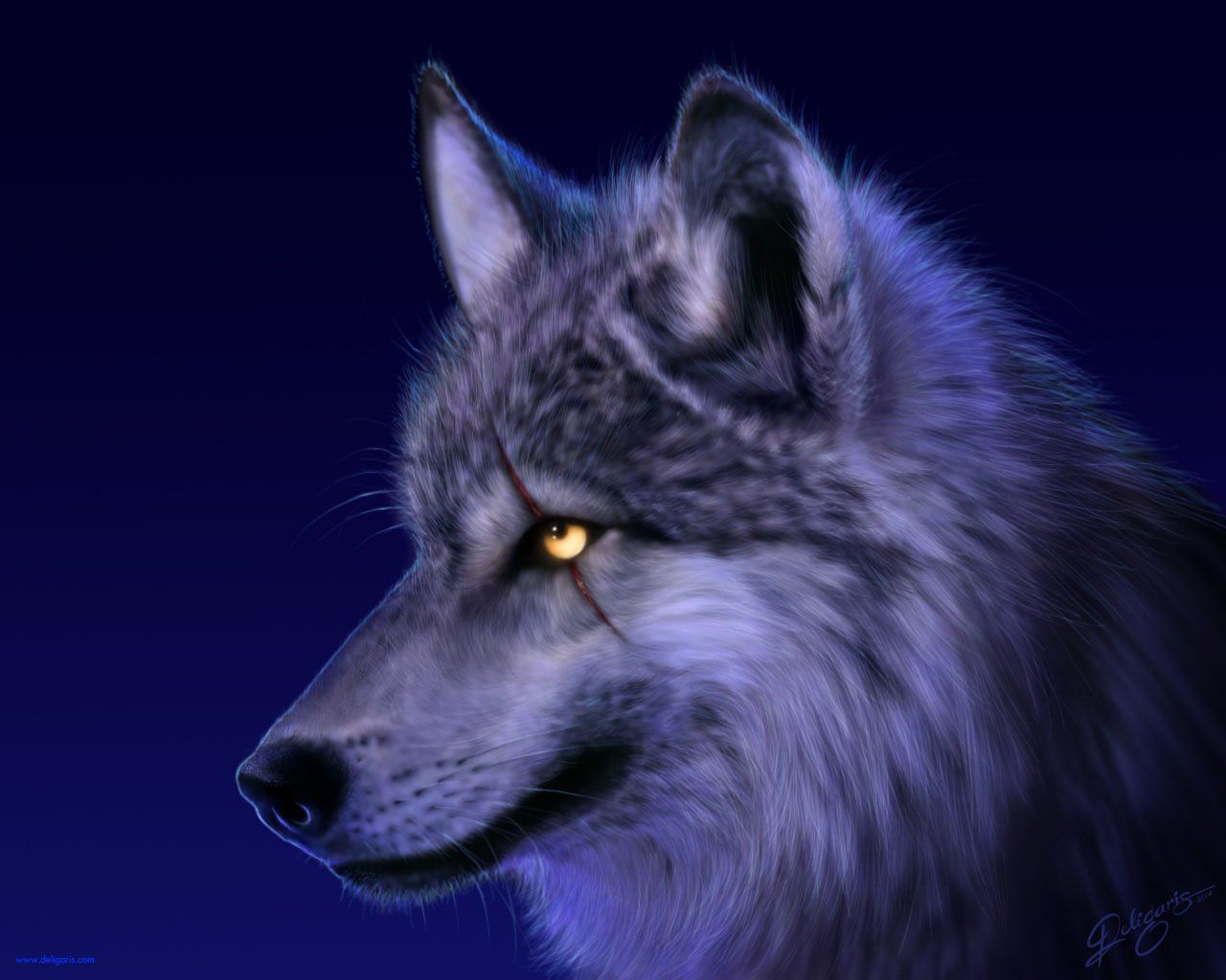 995 Wolf Fondos de pantalla HD | Imágenes de fondo