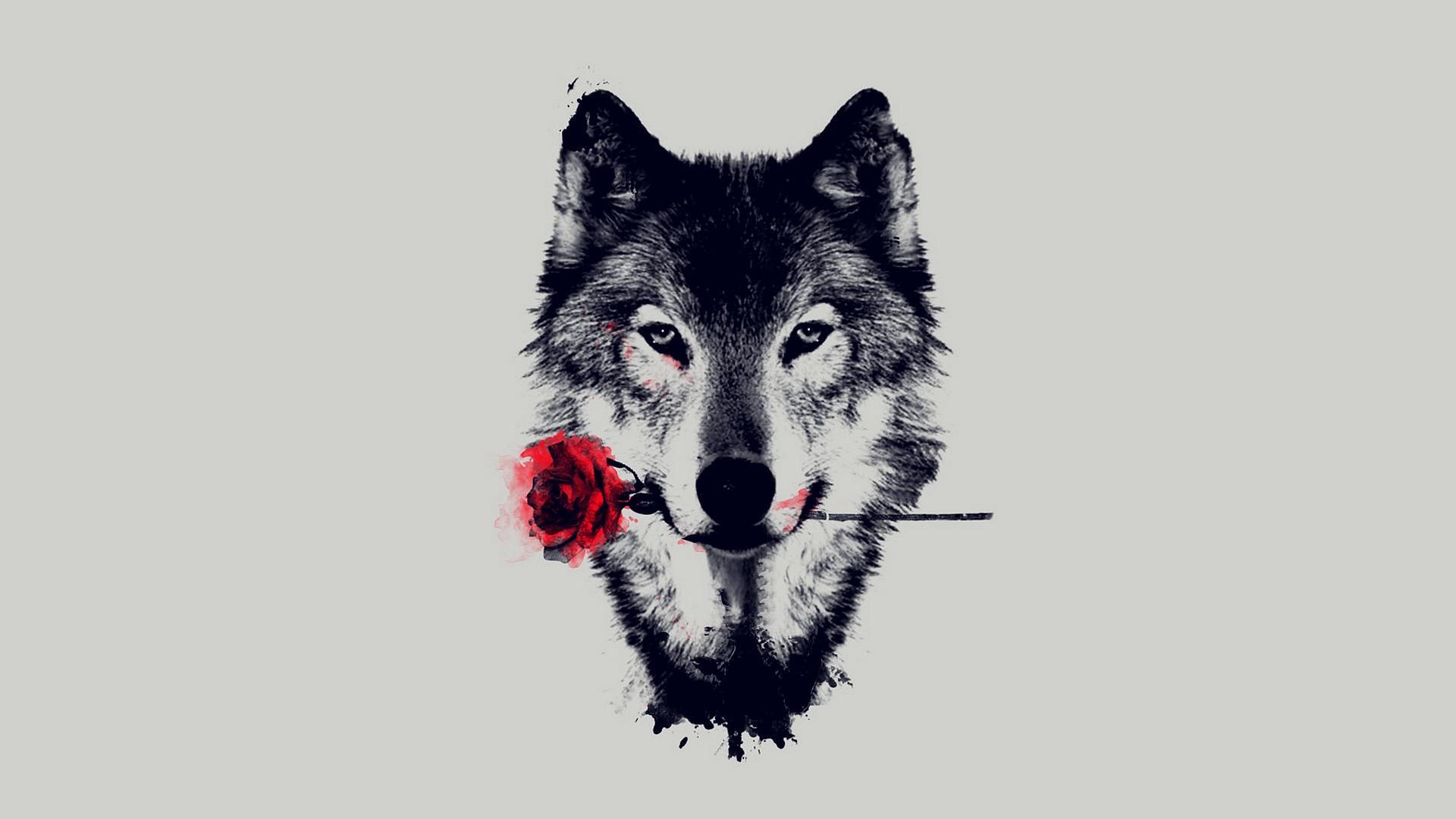 Wolf Wallpapers 4K