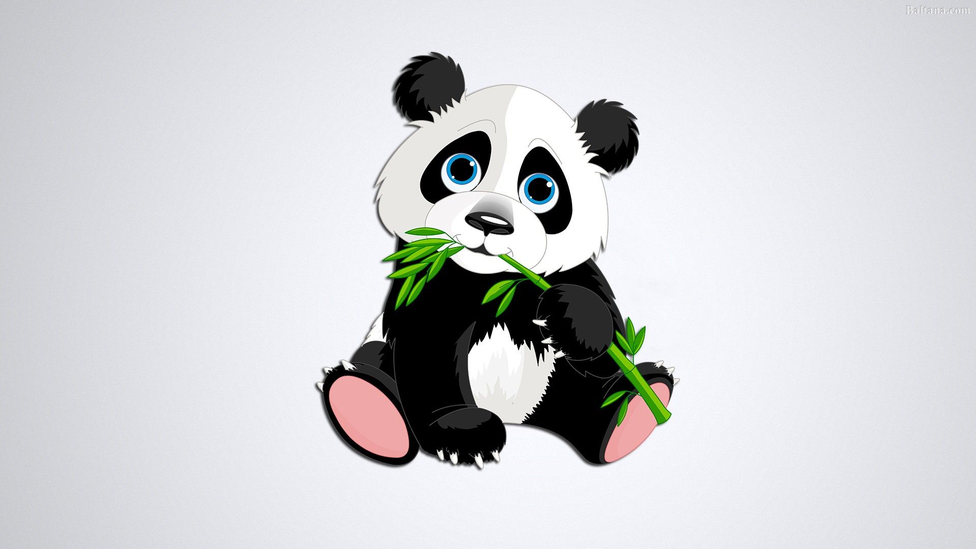 Panda Imagen 26556 - HDWPro