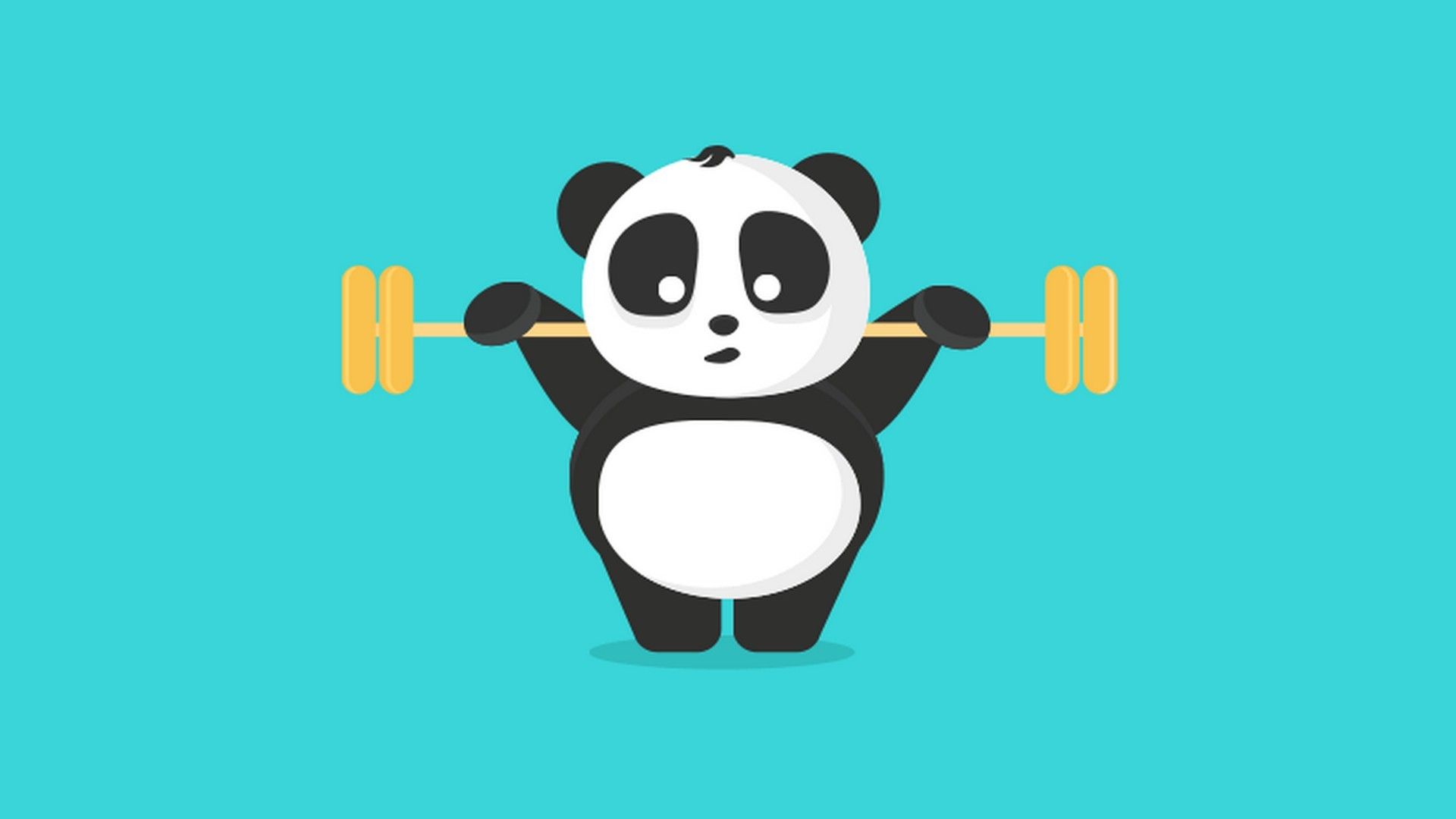 Divertido Cute Baby Panda Wallpaper HD | Fondo de pantalla | Panda fondos de pantalla
