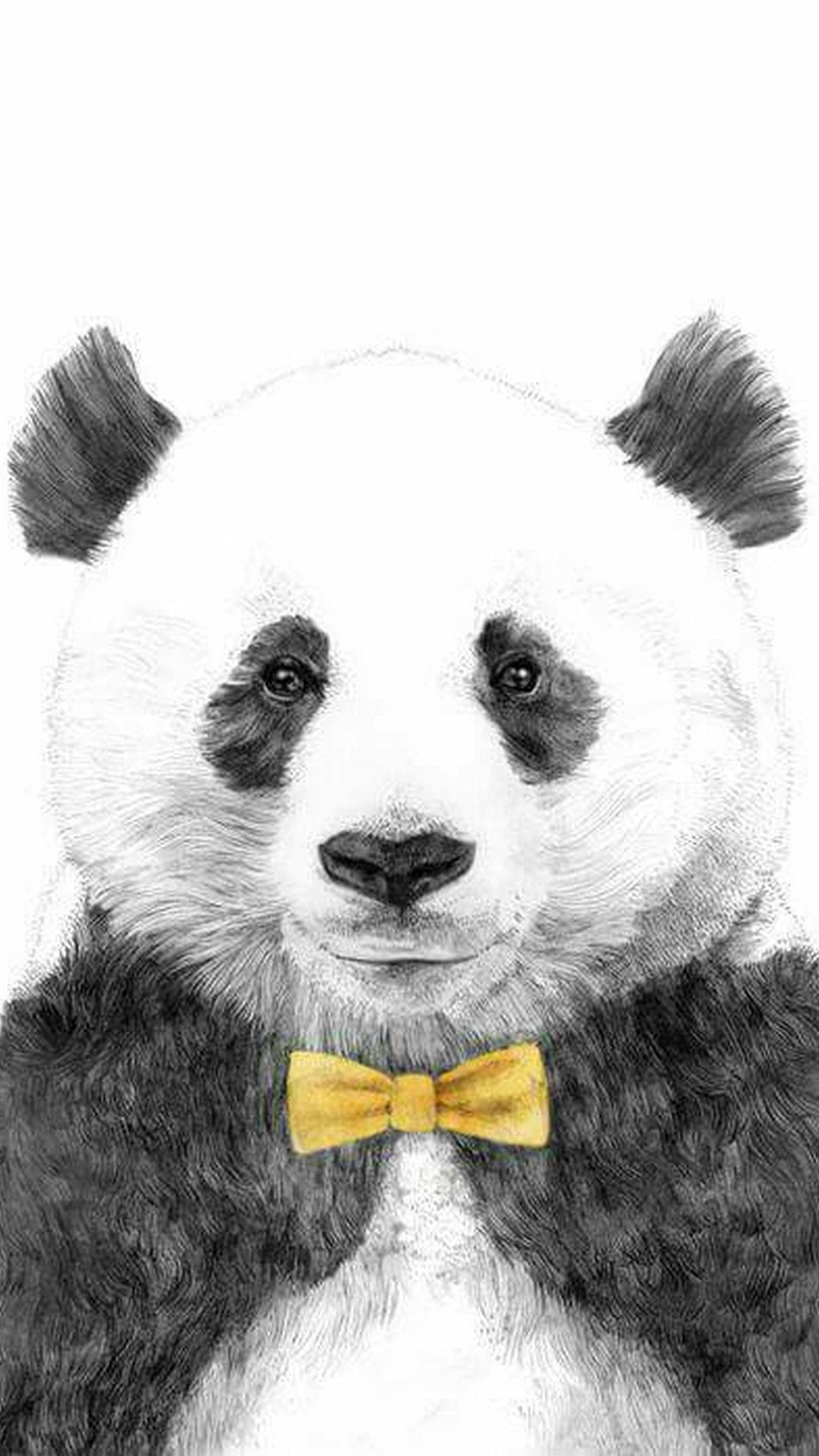 Panda Wallpaper para teléfono | 2019 fondos de pantalla lindos