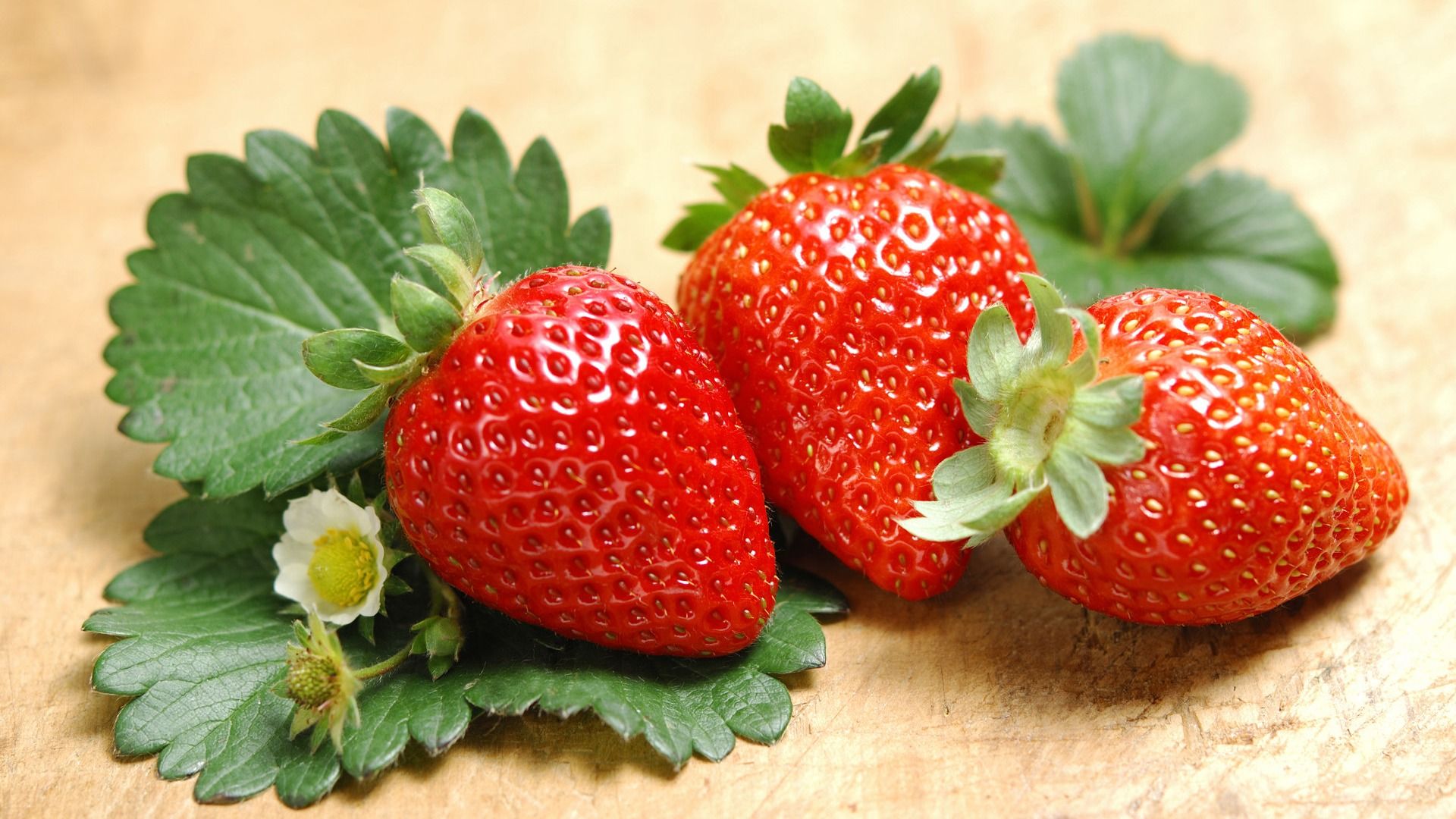 Strawberry Fruit Wallpaper # 7004863