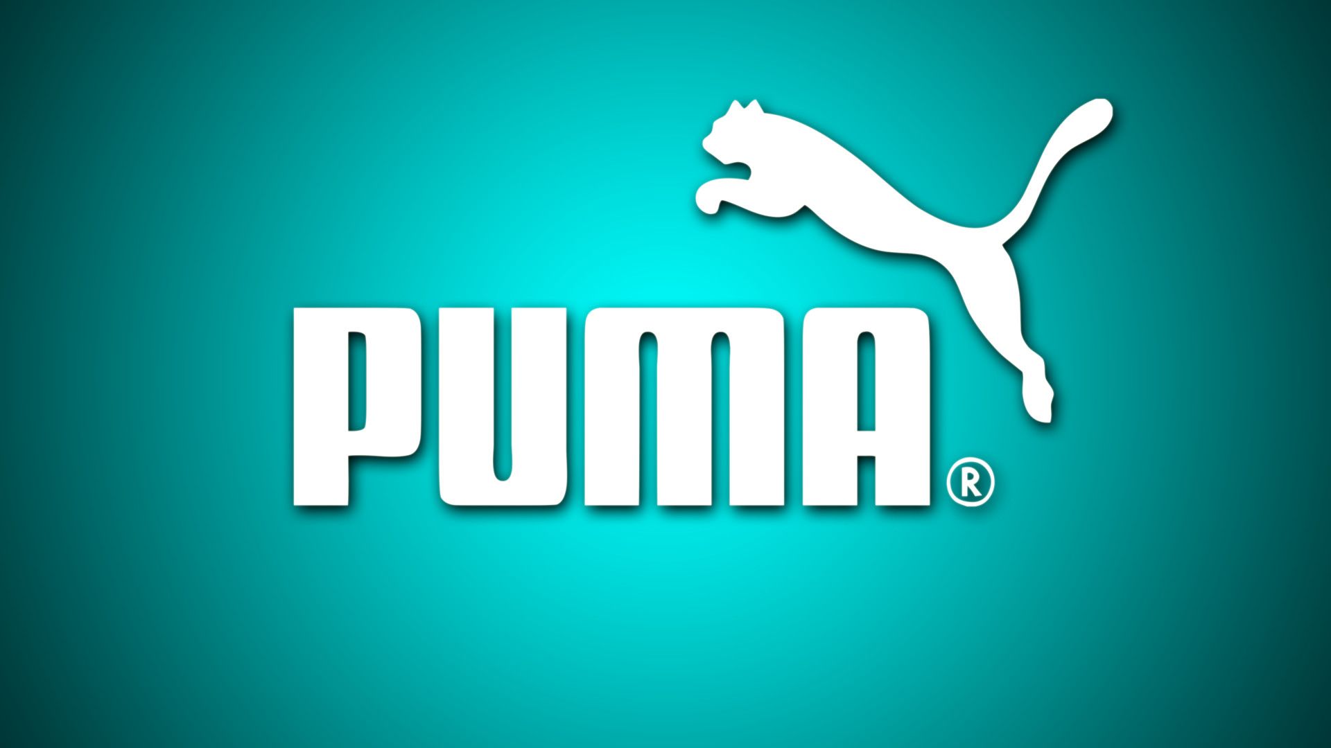 Fondos de Puma - FondosMil