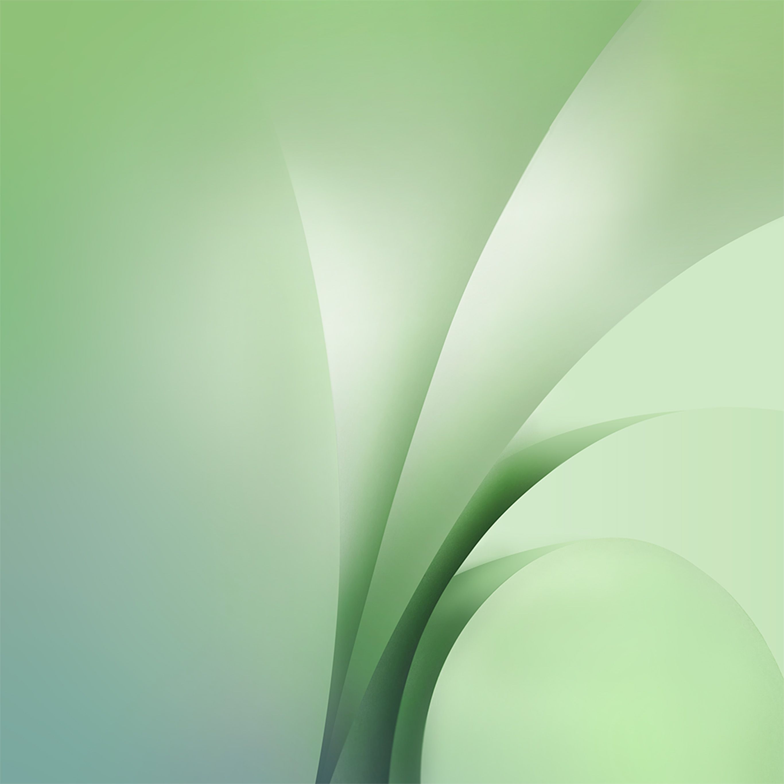 Fondos de pantalla inspirados en verde para iPad y iPhone XS Max