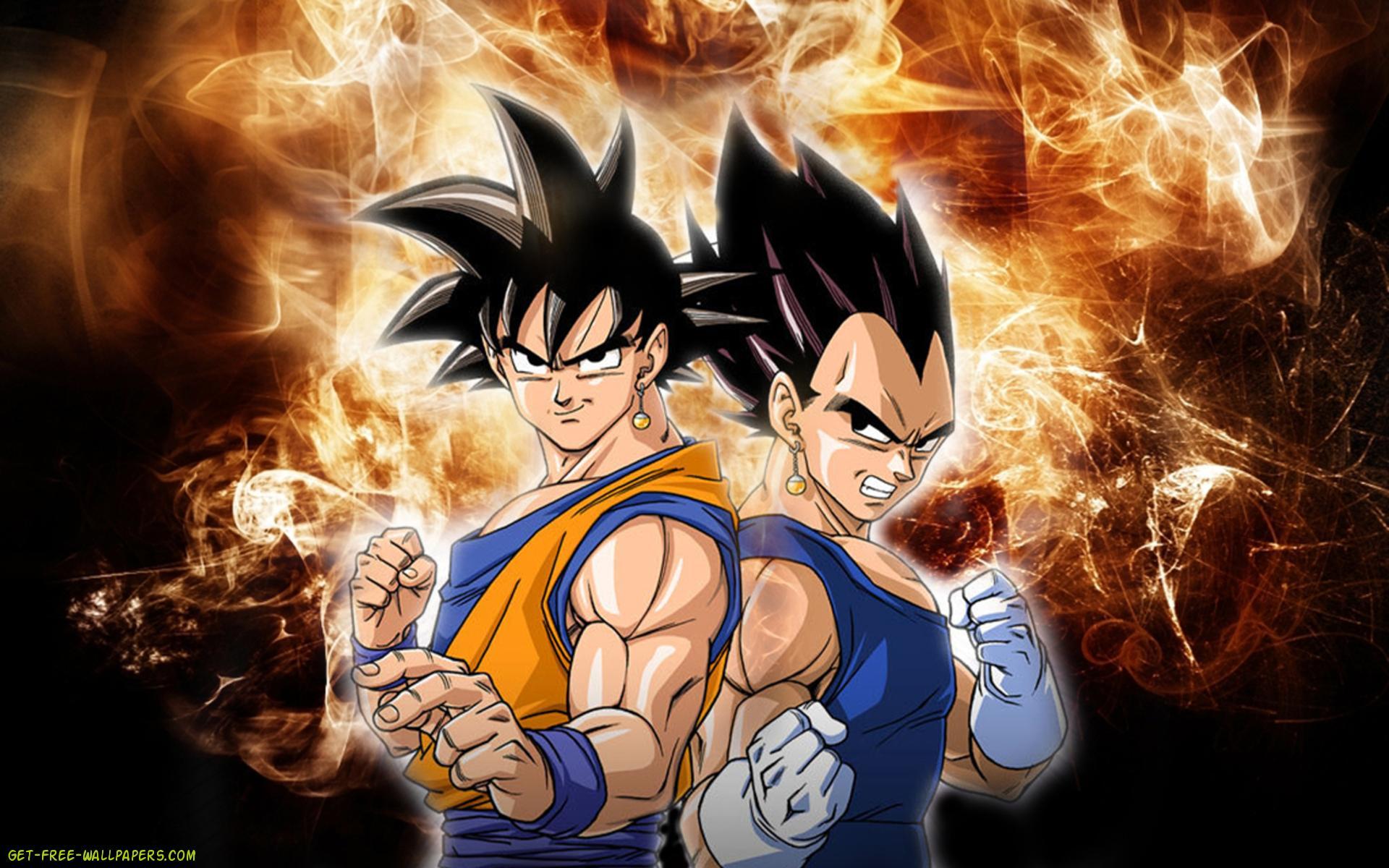 Fondos de pantalla de Goku y Vegeta - FondosMil