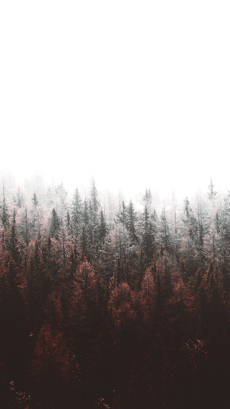 Llevando el bosque a ti con 9 fondos de pantalla gratuitos para iPhone X | Preppy