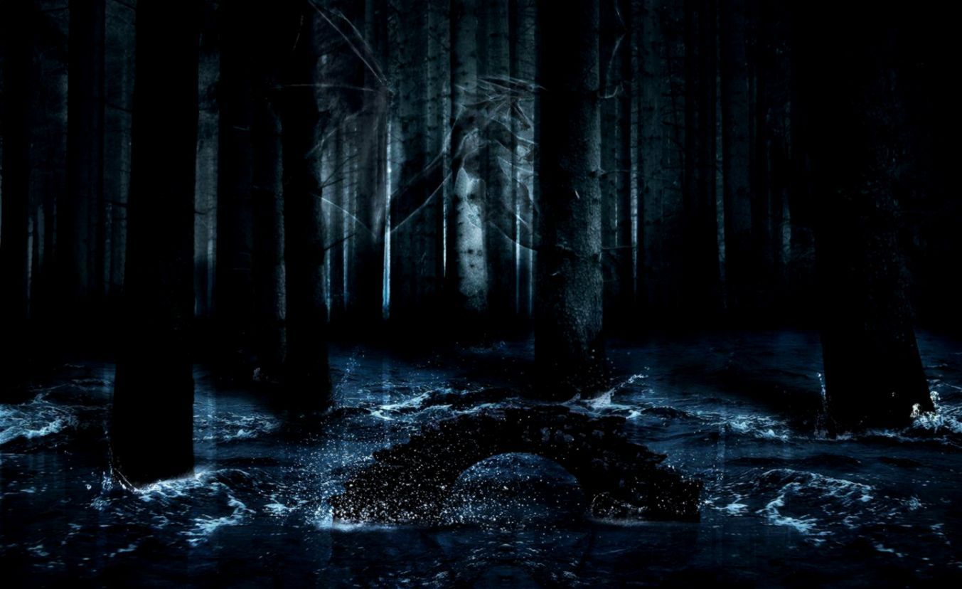Fondos animados del bosque oscuro | Fondo de pantalla
