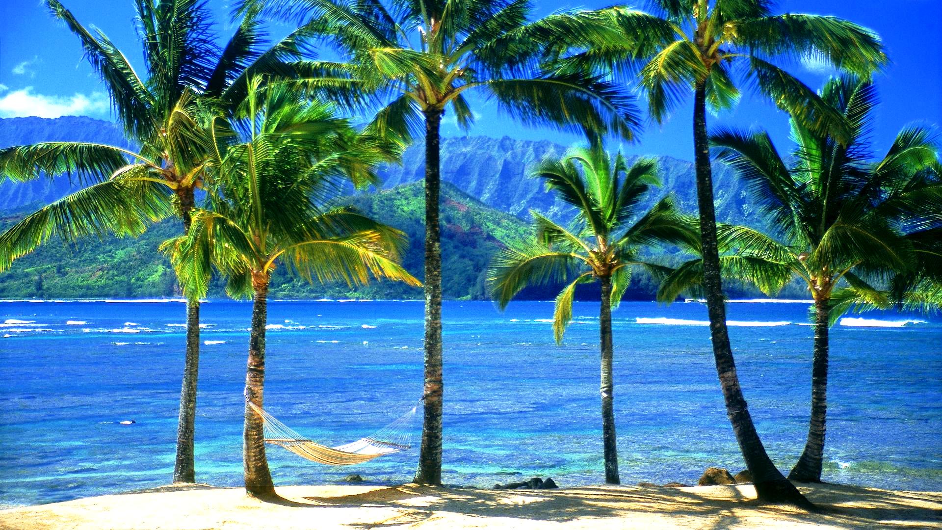 Hawaiian Beaches Wallpaper (más de 30 imágenes)