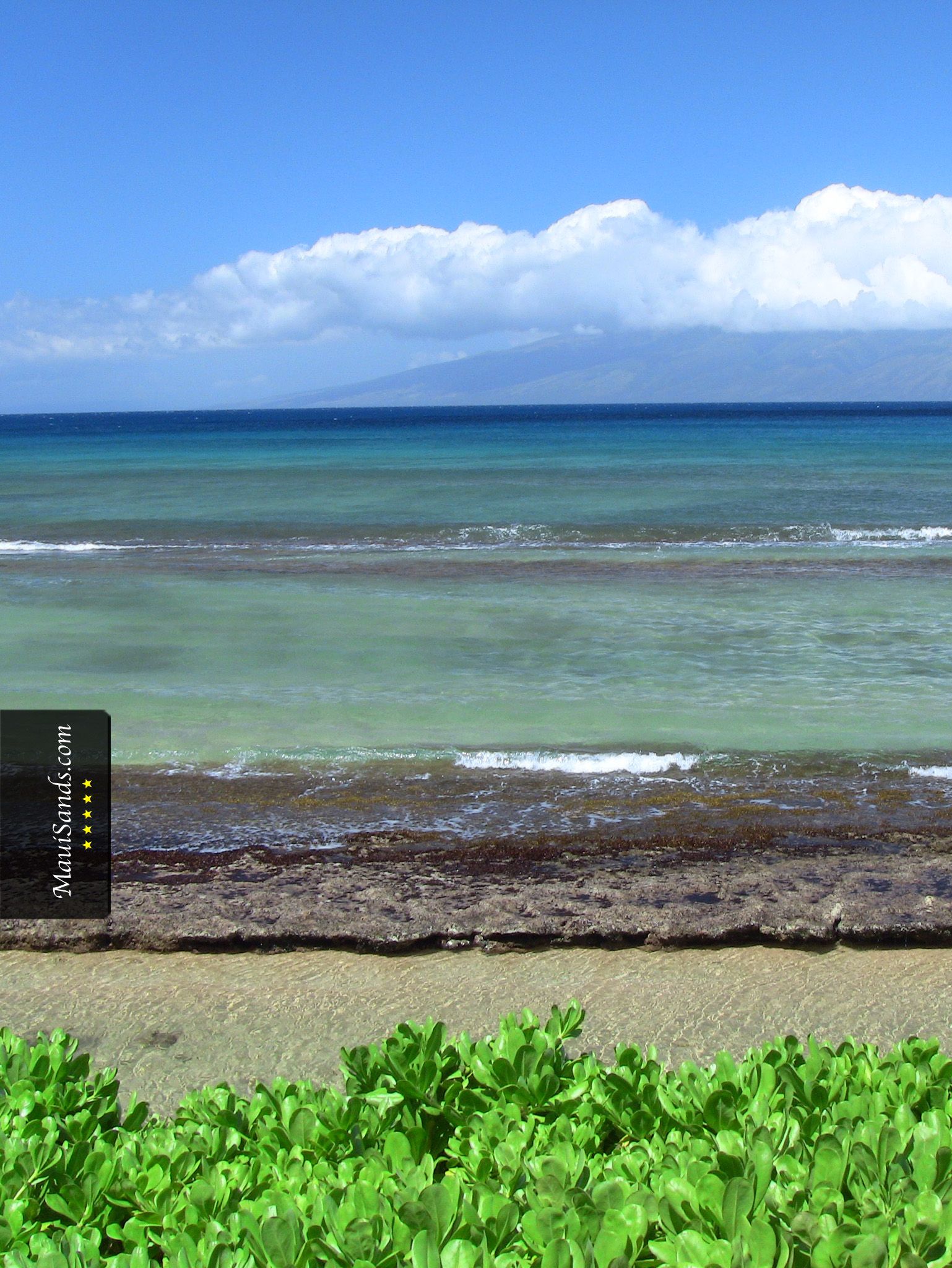 Fondos de Hawaii de Maui Sands