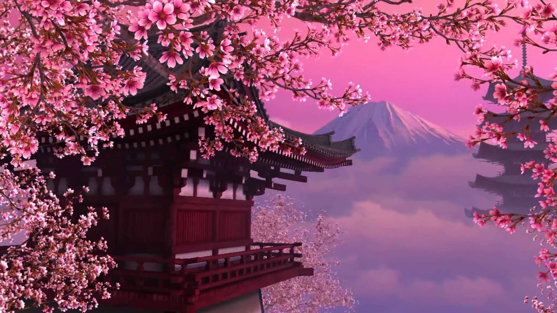 237 Fondos de pantalla de Cherry Blossom Hd - Cherry Blossom Japan Hd (# 440742