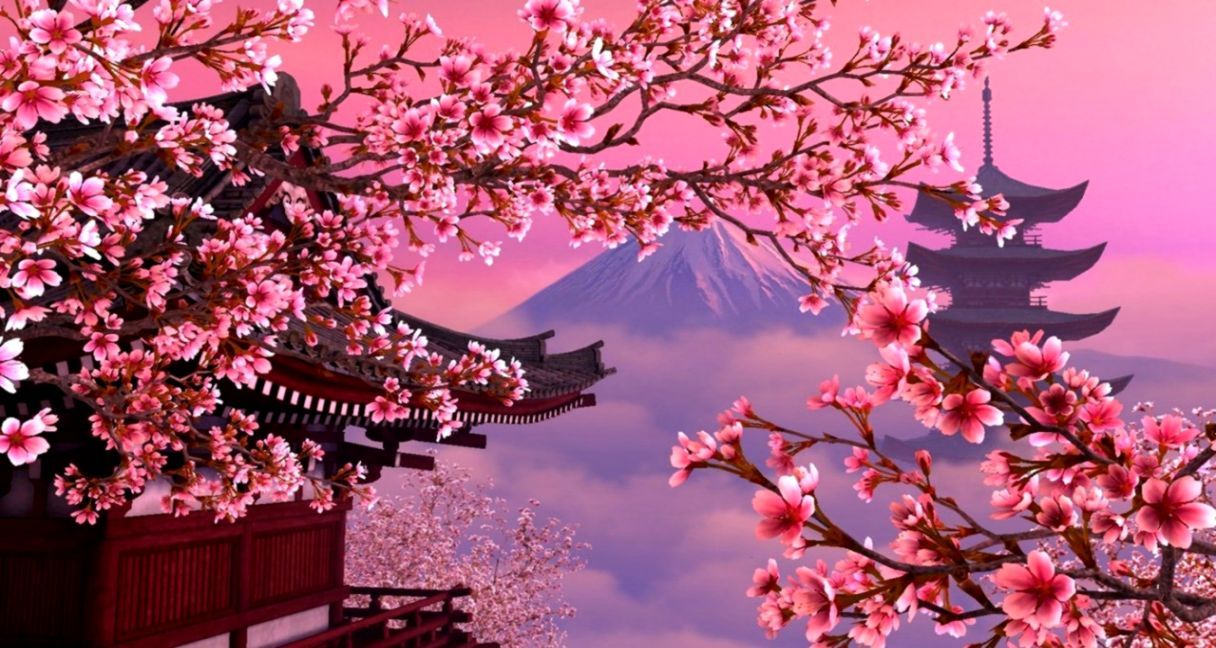 Papel pintado japonés de la flor de cerezo | Joss Wallpapers