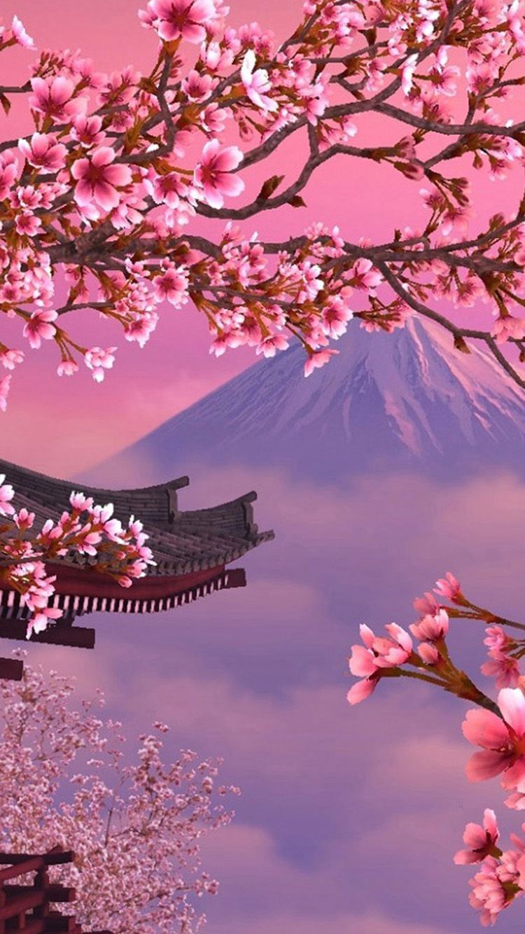 Fondos de iPhone de flor de cerezo japonés - Los mejores fondos de cerezo japonés