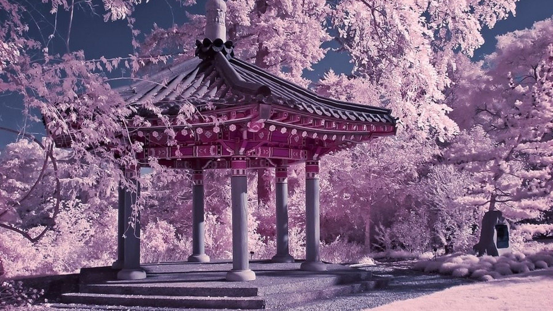 Cherry Blossom Chinese Garden (# 441068) - Descargar fondo de pantalla HD