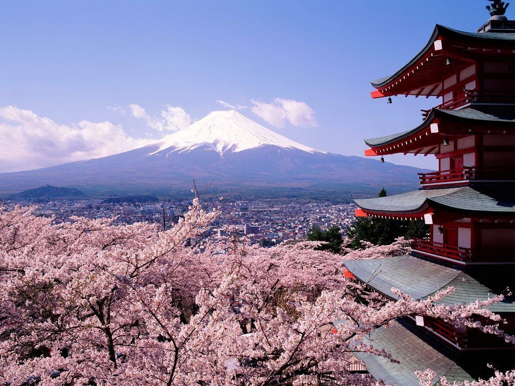 Cherry Blossoms and Fuji - Japanese Cherry Tree [[Sakura]] Wallpaper