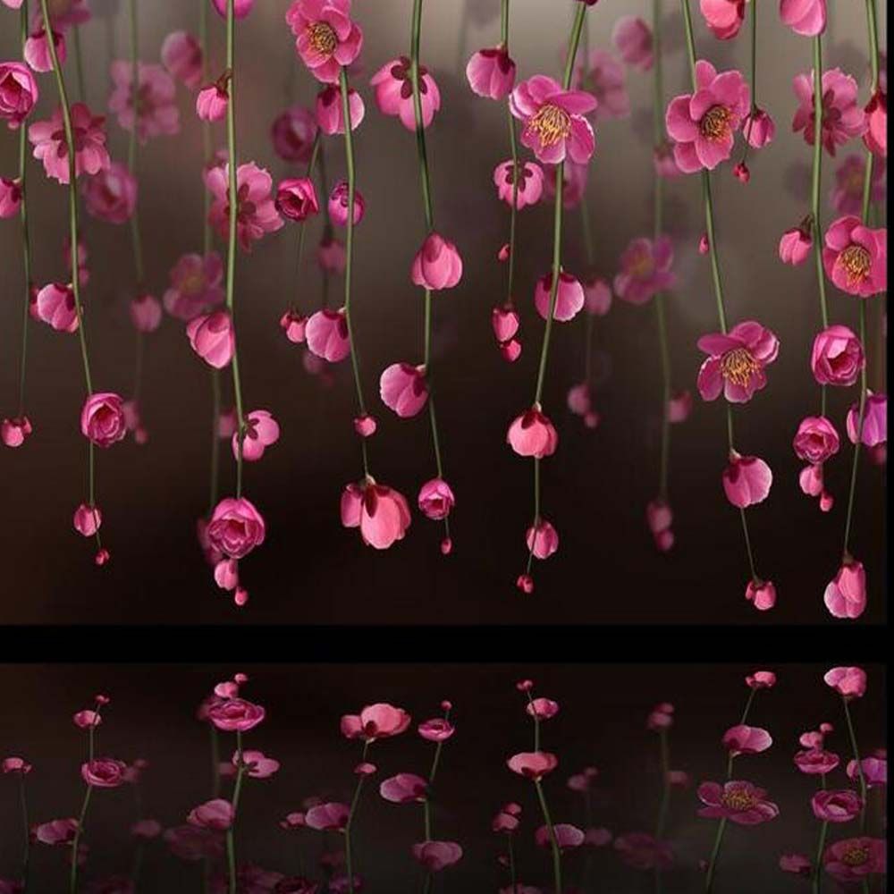 Cherry Blossom Pictures Wallpapers (41 Fondos de pantalla) HD, japonés