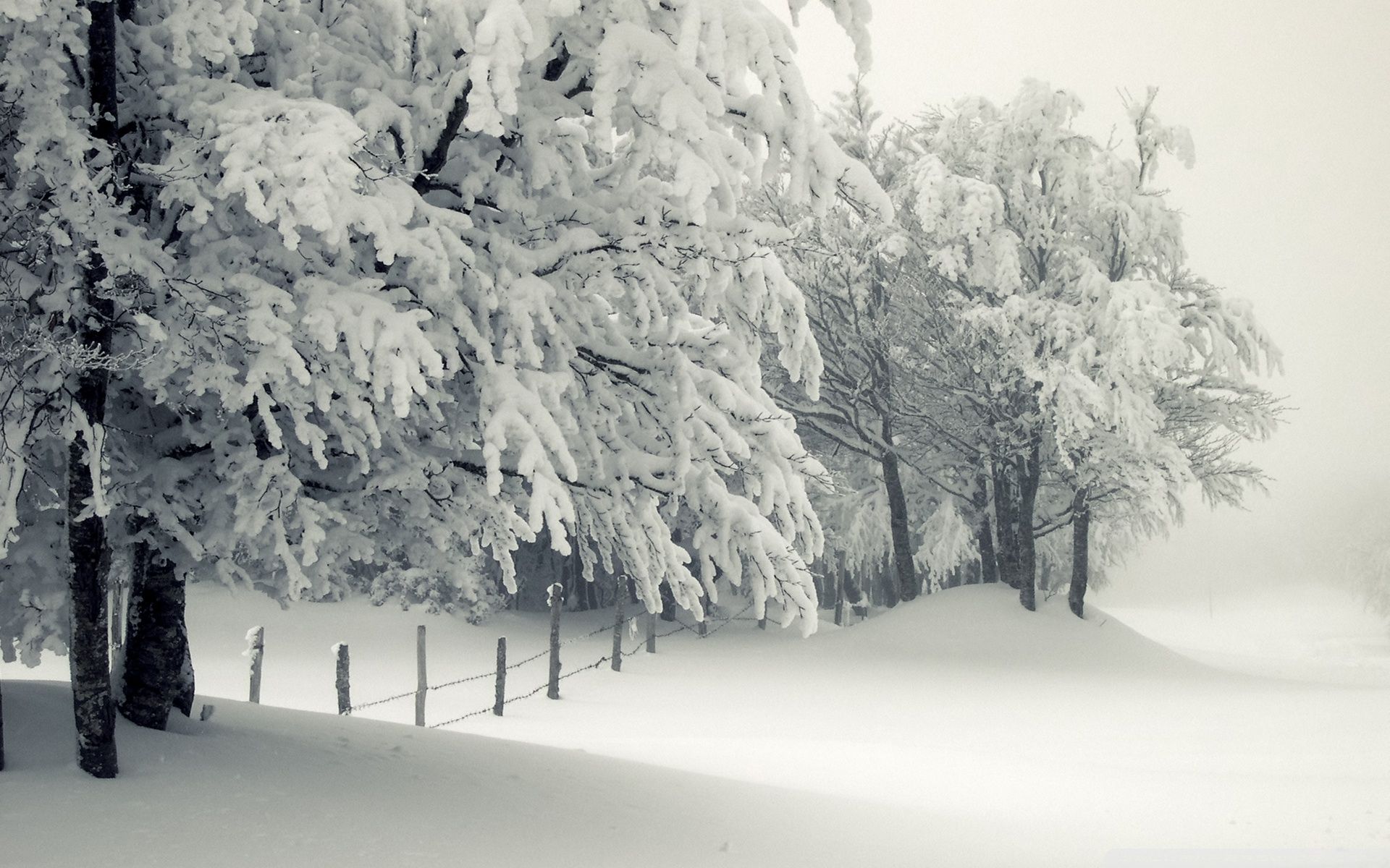 Snowy Landscape ❤ Fondo de escritorio 4K HD para TV 4K Ultra HD