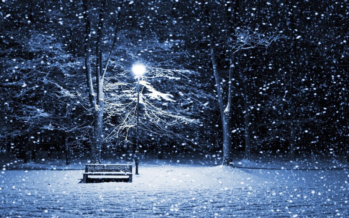 noche nevada | Salón de la vida | Fondo de pantalla de invierno, escenas de invierno, invierno