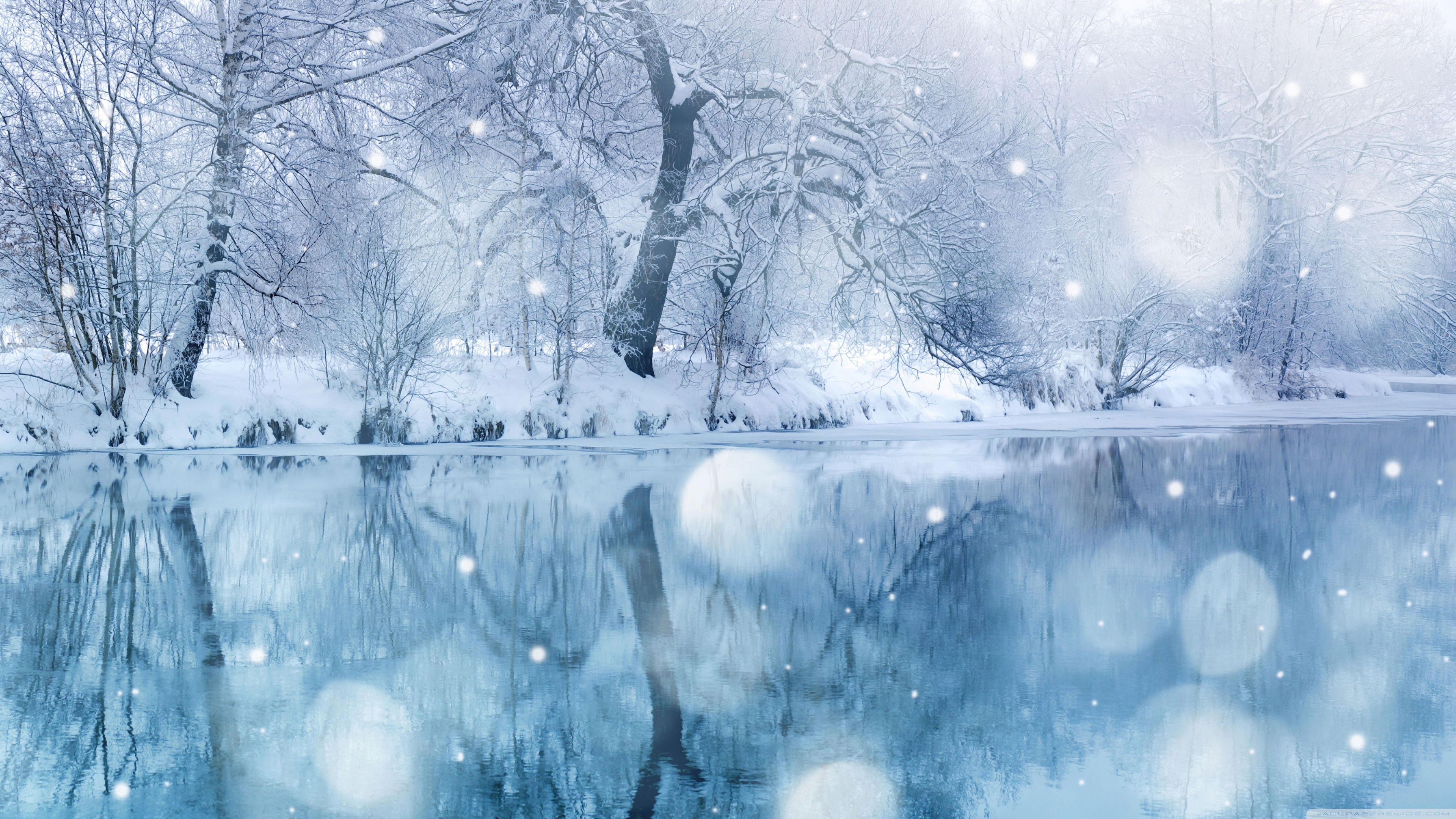Winter Snowfall ❤ Fondo de escritorio 4K HD para TV 4K Ultra HD • Doble