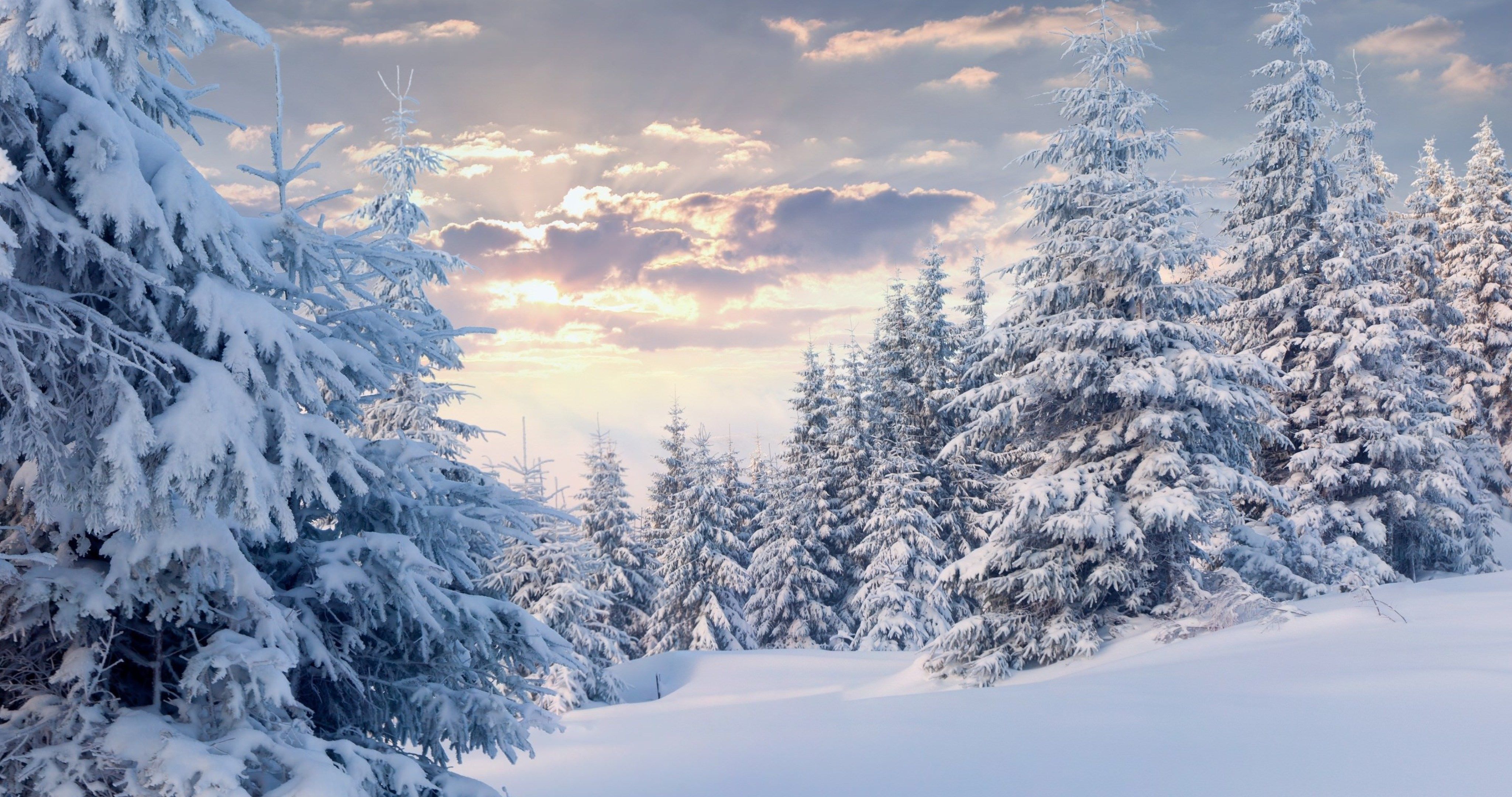 Snow 4K Wallpapers - Los mejores fondos de Snow 4K gratis - WallpaperAccess