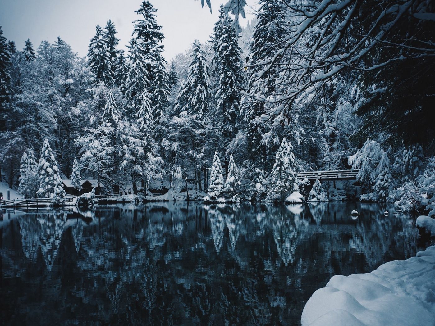 Descargar fondo de pantalla 1400x1050 lago, nieve, ramas, invierno, nevado